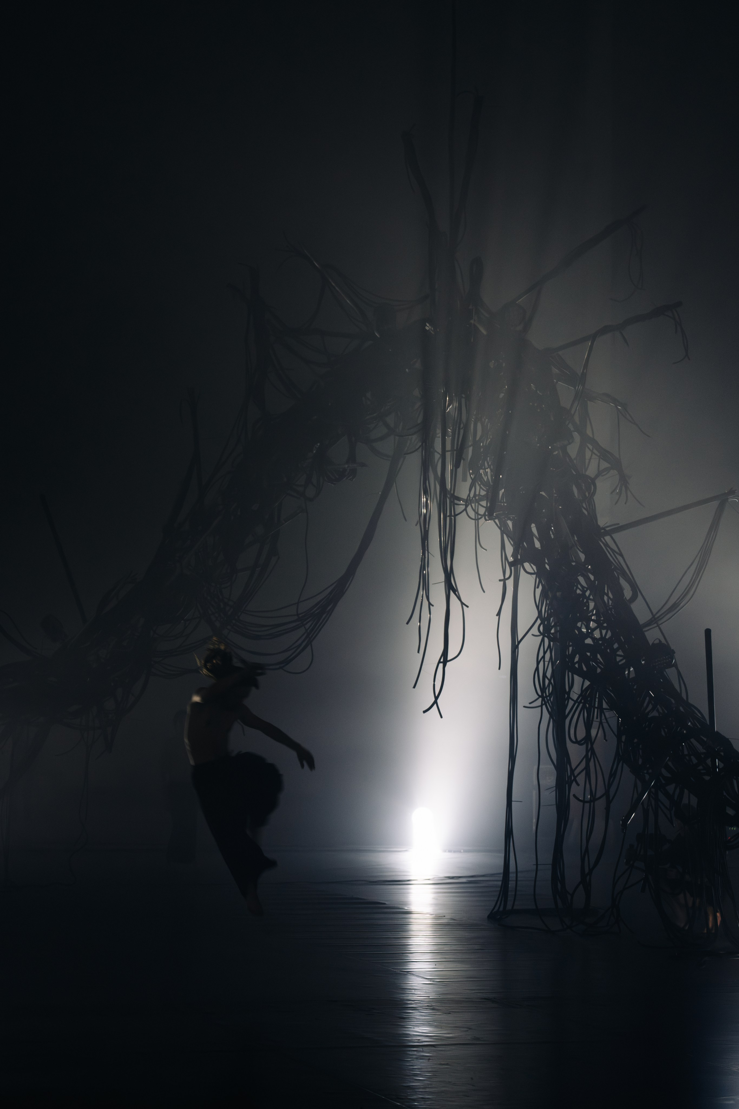 PERFORMA, The Hour of the Horse. @tomrus: Рустам Шагиморданов — фотограф