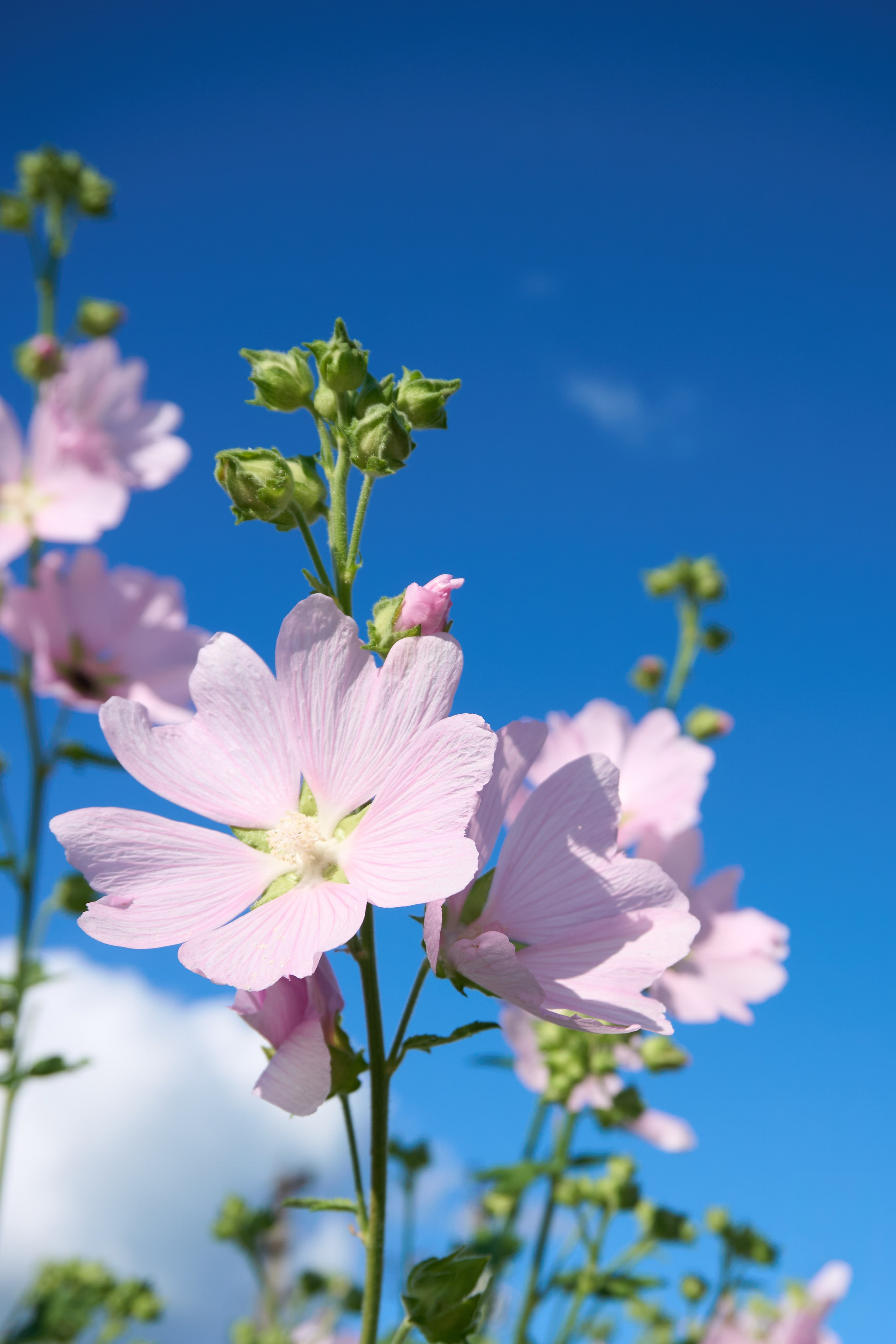 Репортаж/Портреты. …