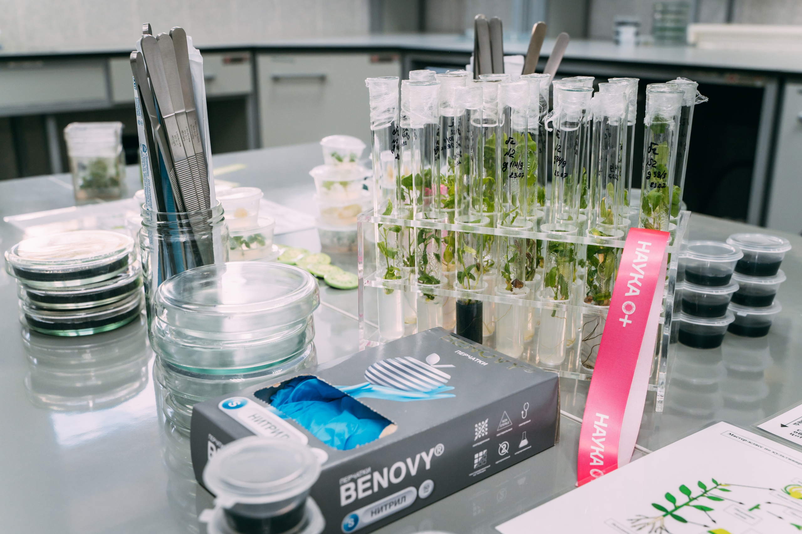 Международная конференция РАН