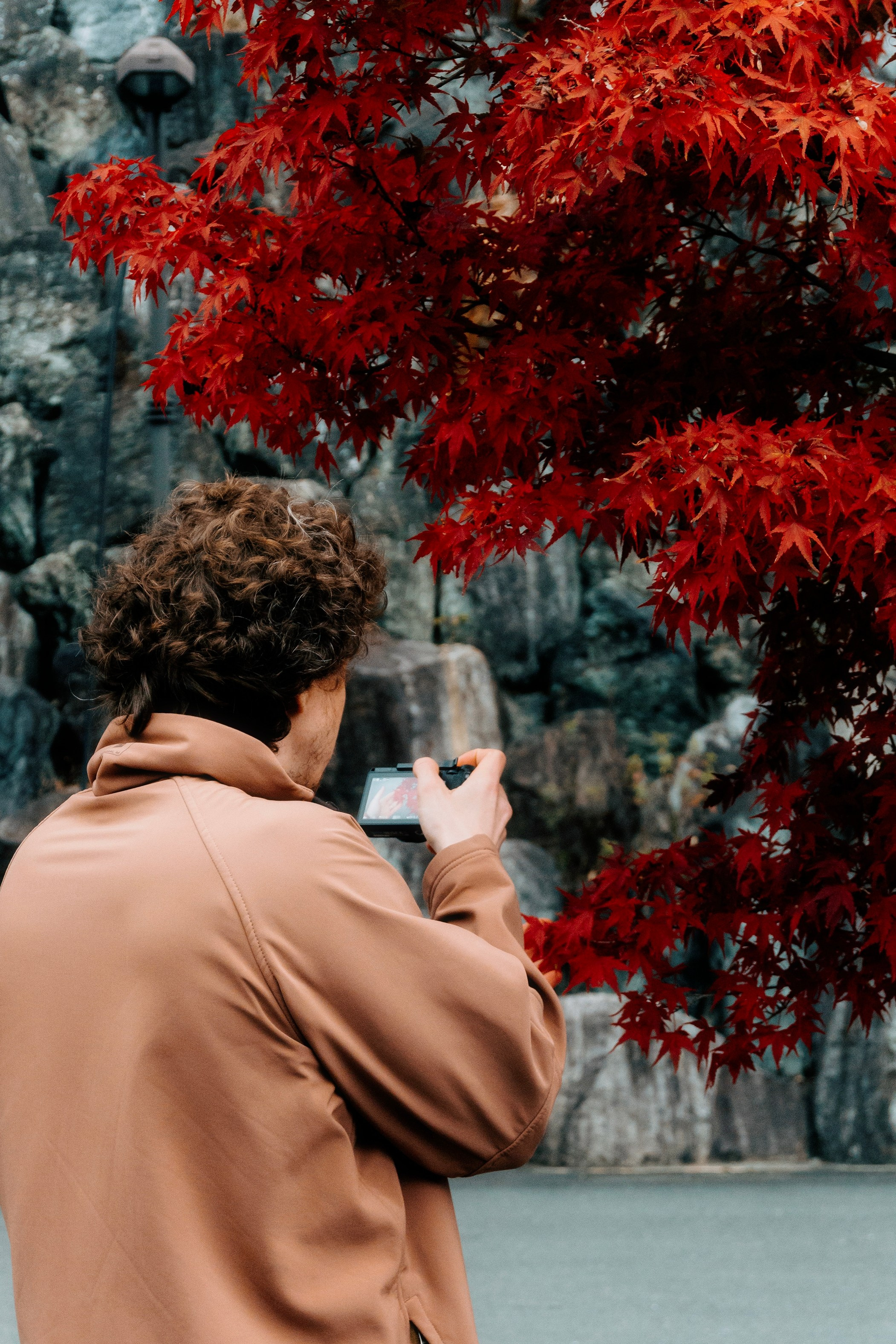 Japan village street. Iraogo
