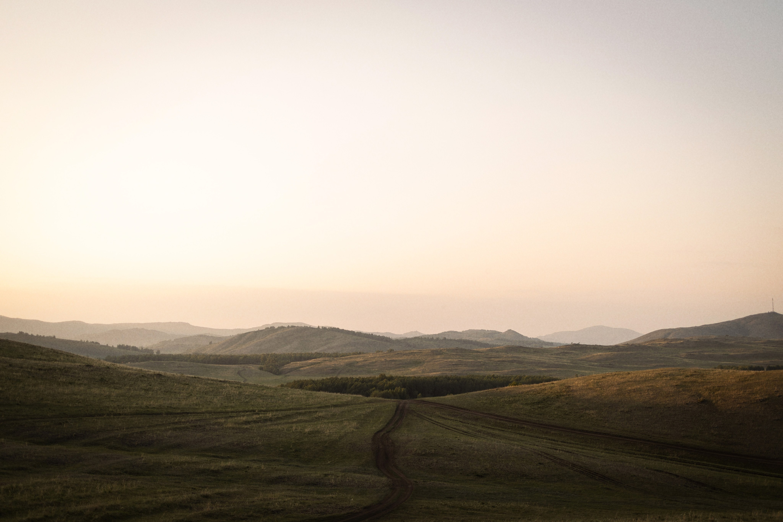 Анастасия и Данил. Алина Камалова