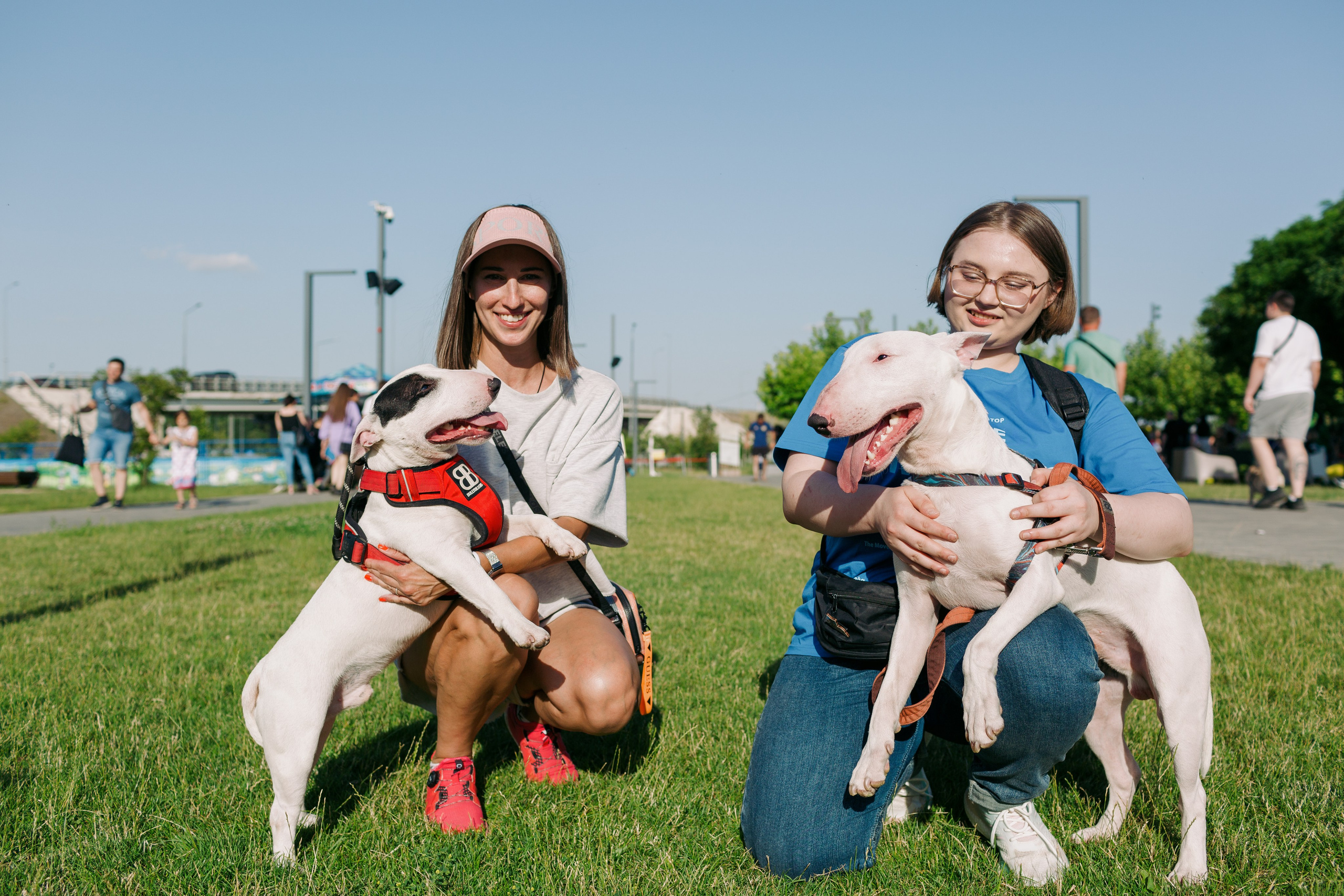 Dog Fest 2024. Главная