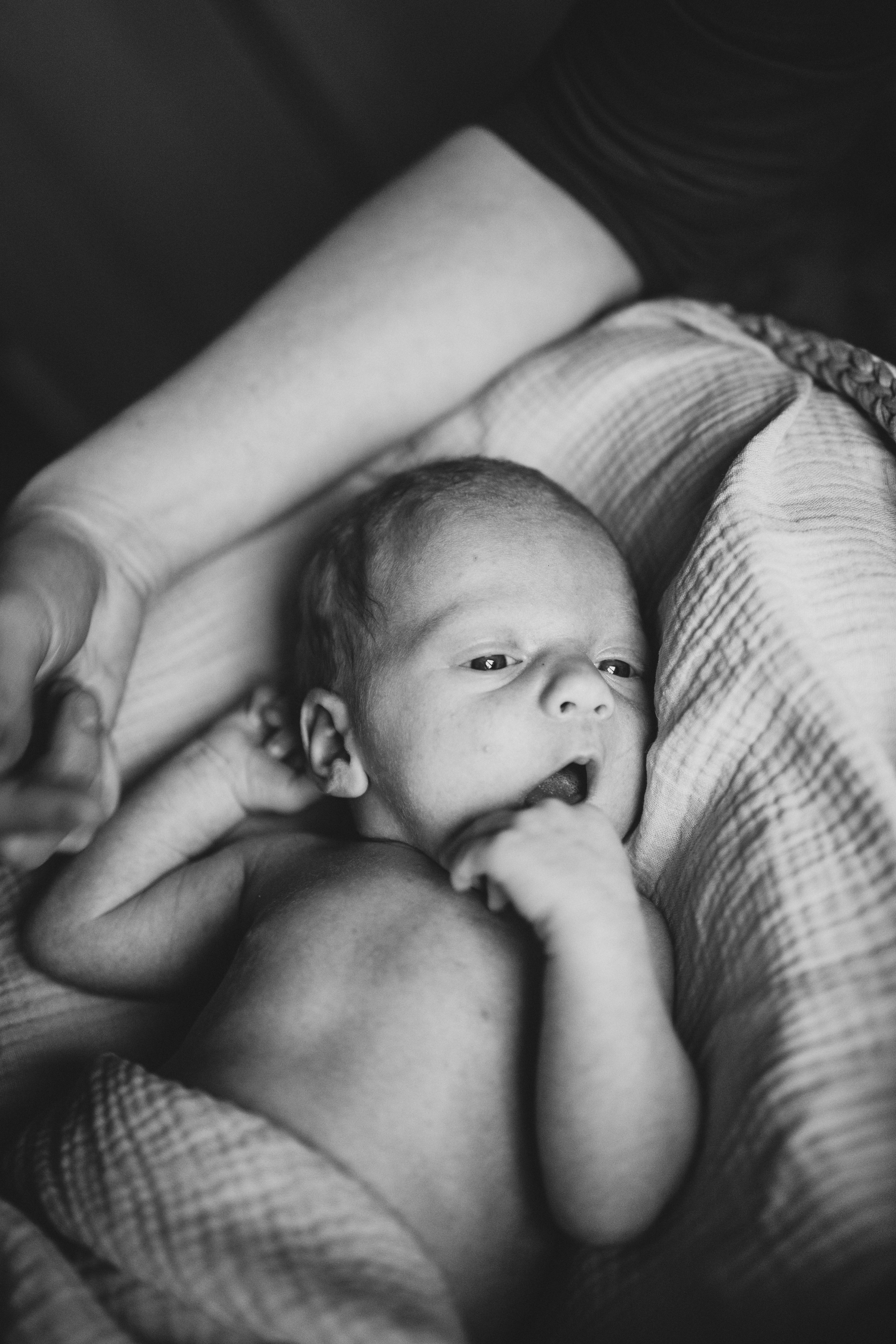 фотосессия новорожденного, фотосессия новорожденных, ньюборн, пушкин, павловск, спб, семейная фотосессия