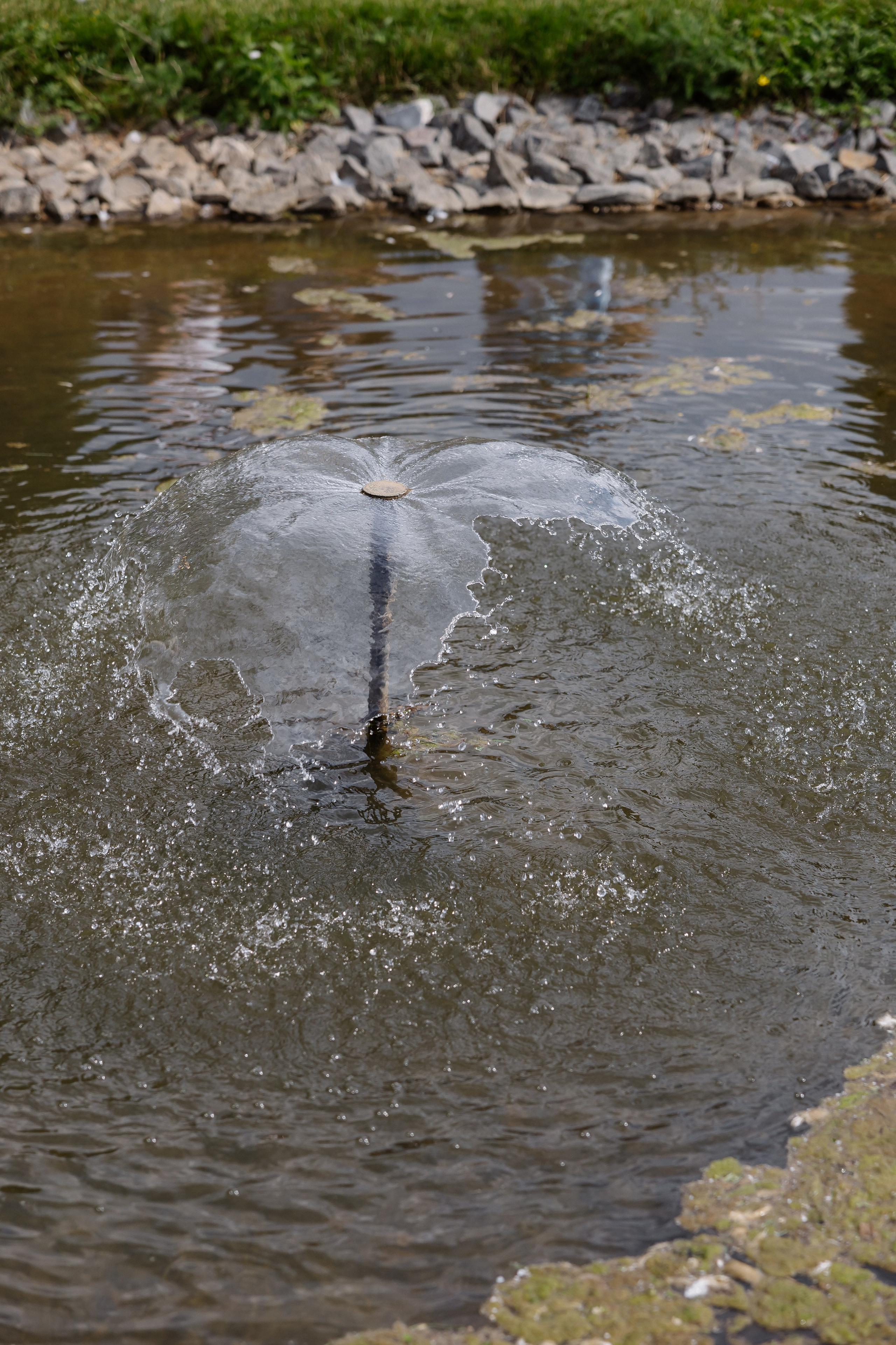 Дмитрий & Анна. RETOUCH-HOUSE