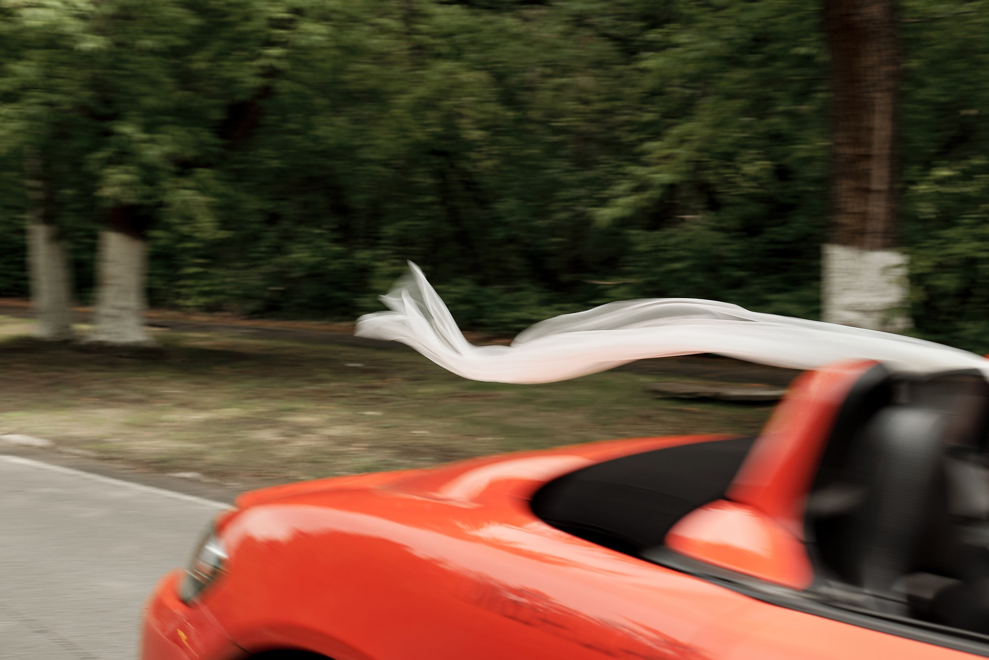 Егор и Полина. Свадебный фотограф в Барнауле Дмитрий Медведев