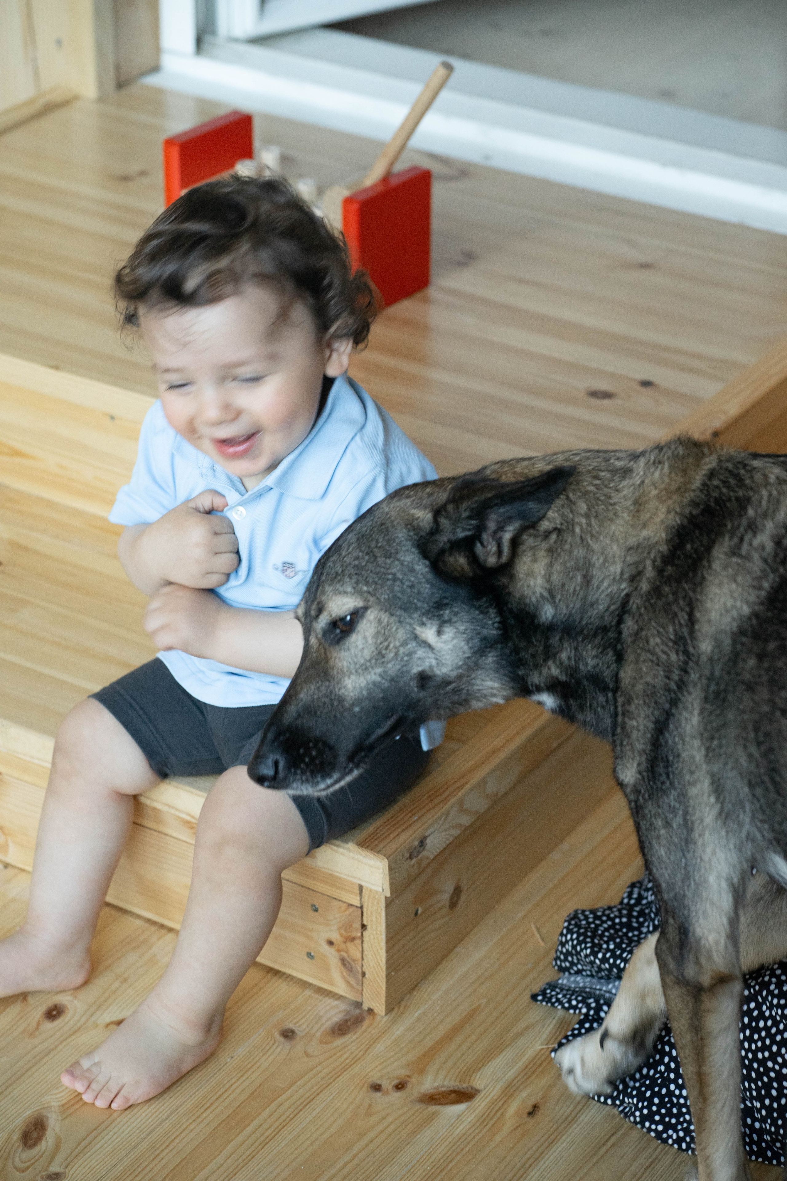 Boy. Lifestyle photographer Turku. I catch emotions in the frame