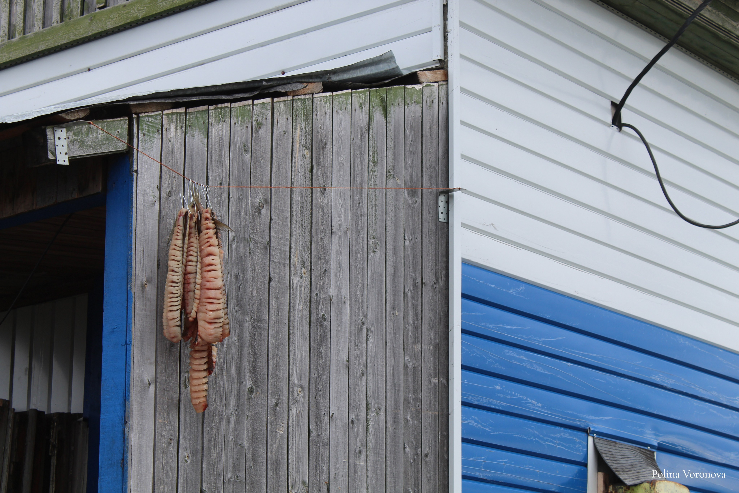 Хатанга и Русское Географическое общество 2024. Хорошая экспедиция