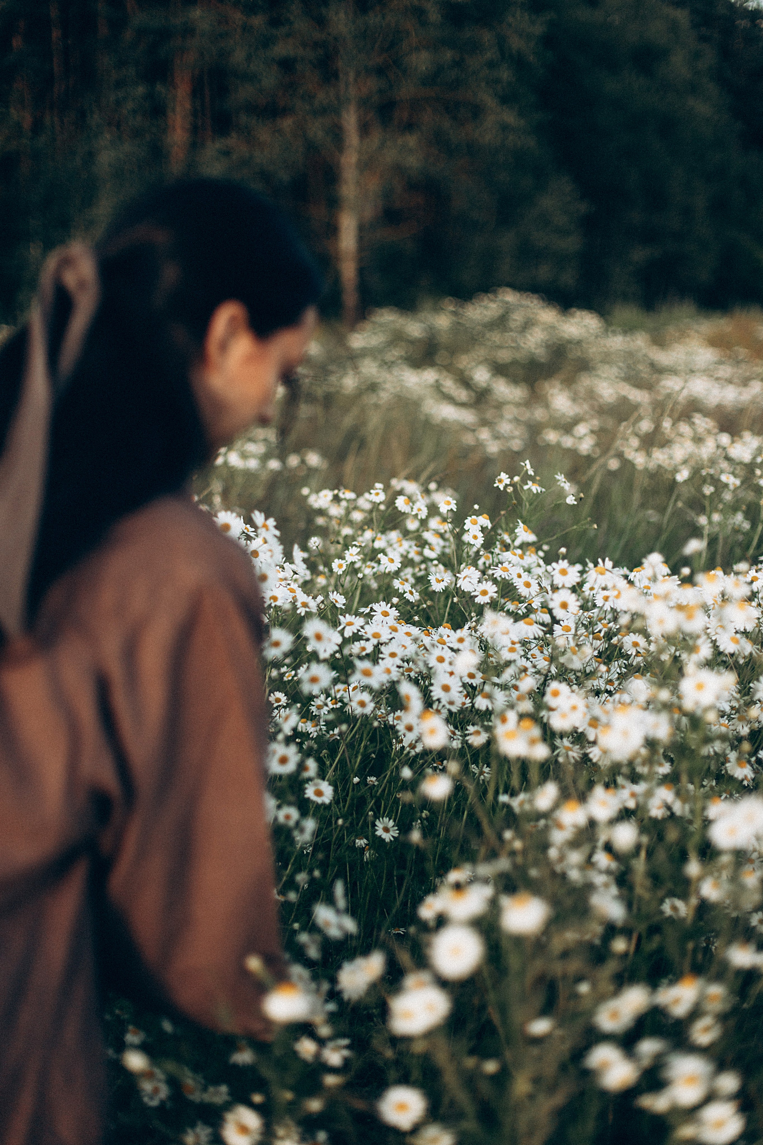 Ромашки. Репортажный и детский фотограф в Минске