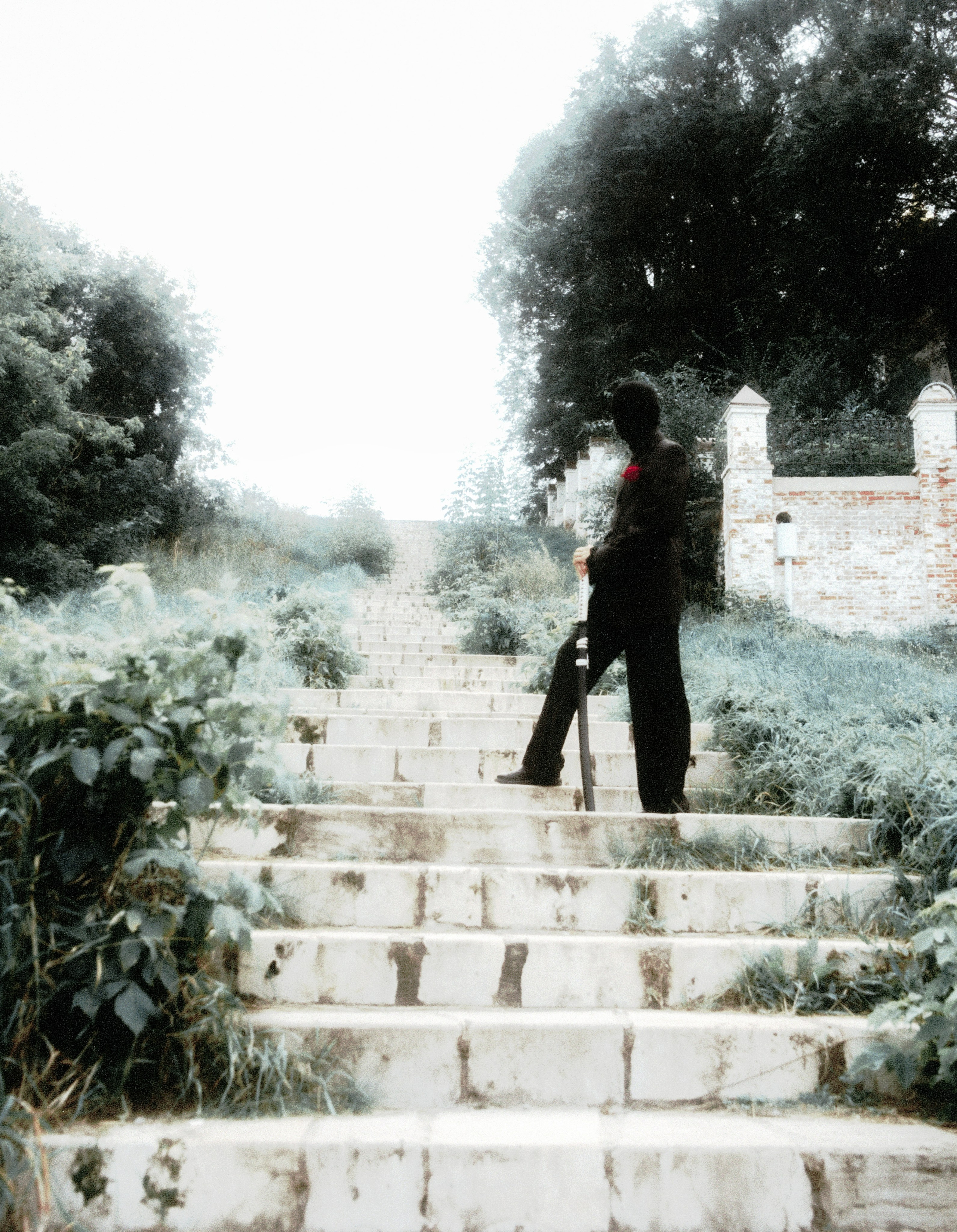 Любовь к ботанике. Фотограф Тимур Хайруллин