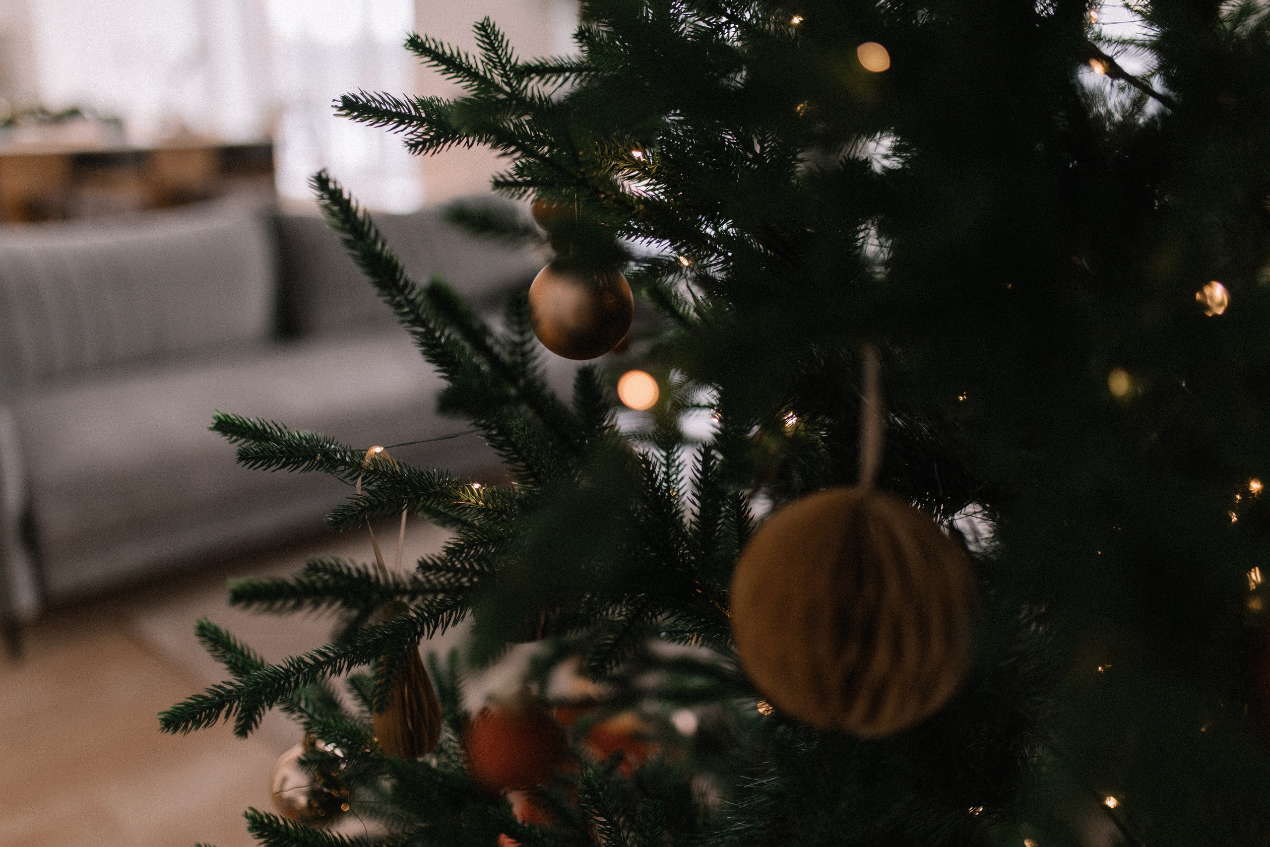 Татьяна & Свят