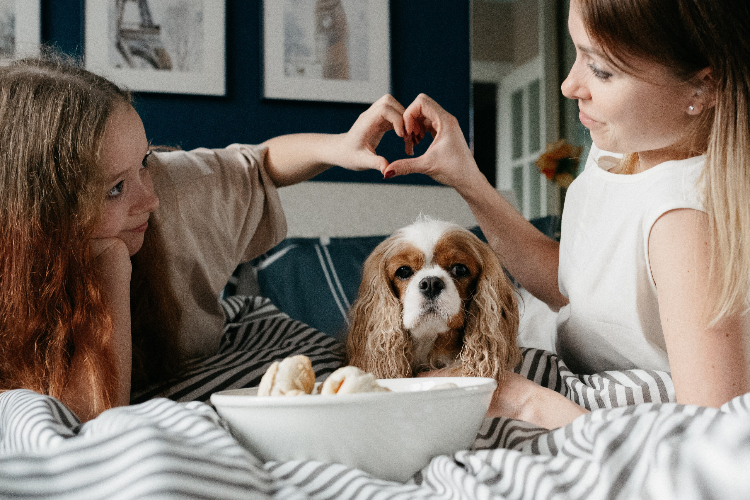 Даша, Диана, Дебби и маленькая крыска. Фотограф анималист в Москве Ольга Агушева