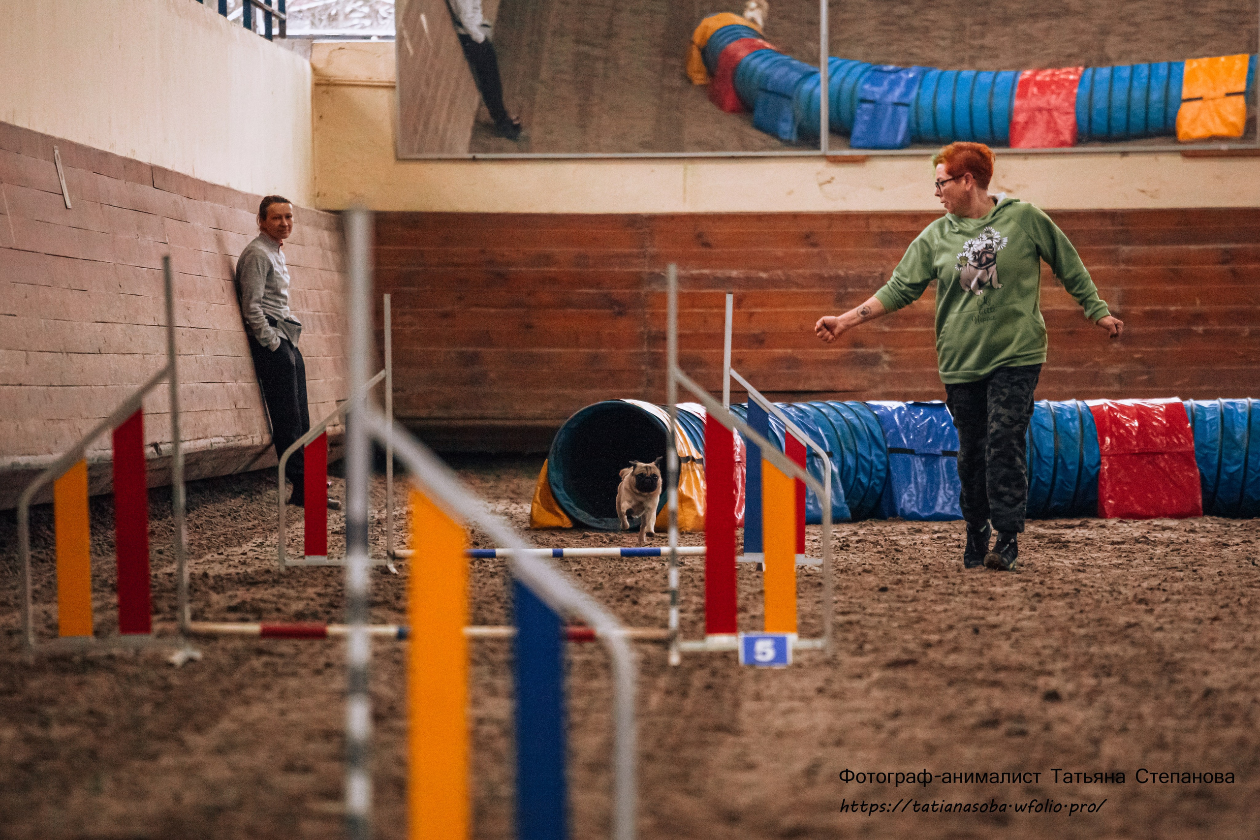 Соревнования по Аджилити 25.02.2024. Фотограф-анималист Татьяна Степанова