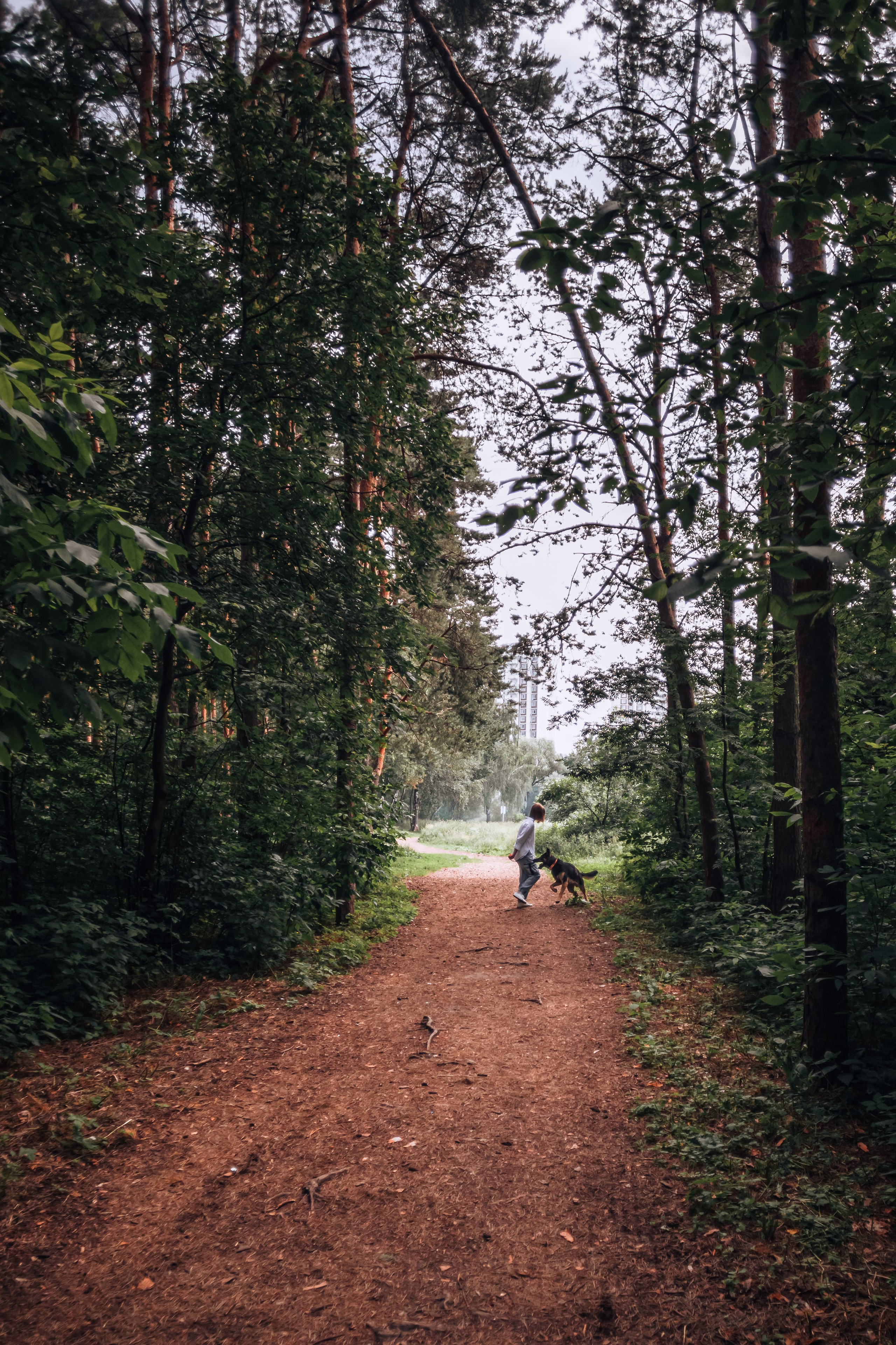 Лесная летняя фотопрогулка. Фотограф-анималист Татьяна Степанова