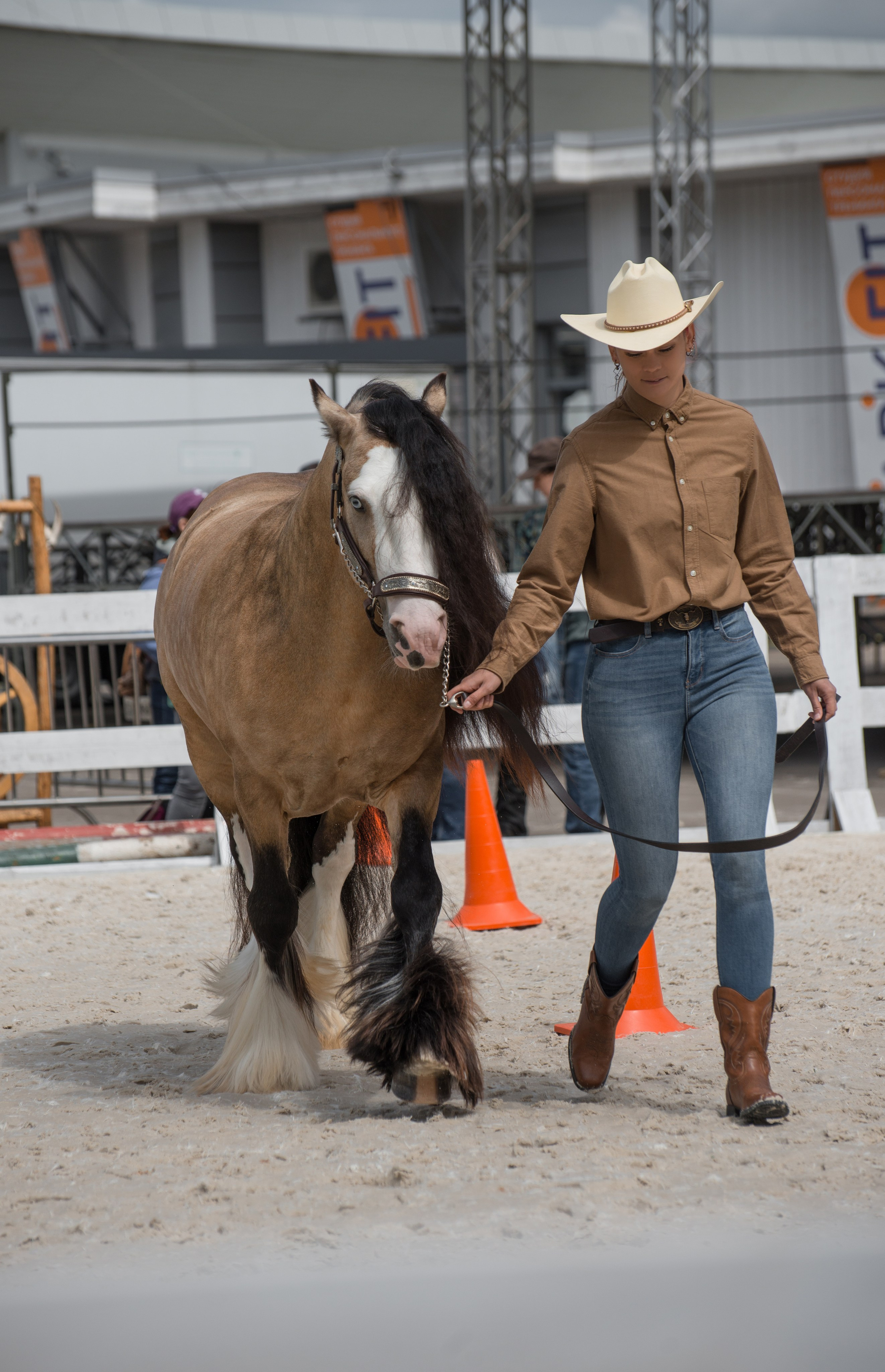 Эквирос, Москва. Конный фотограф в Саратове Юлия Иванова