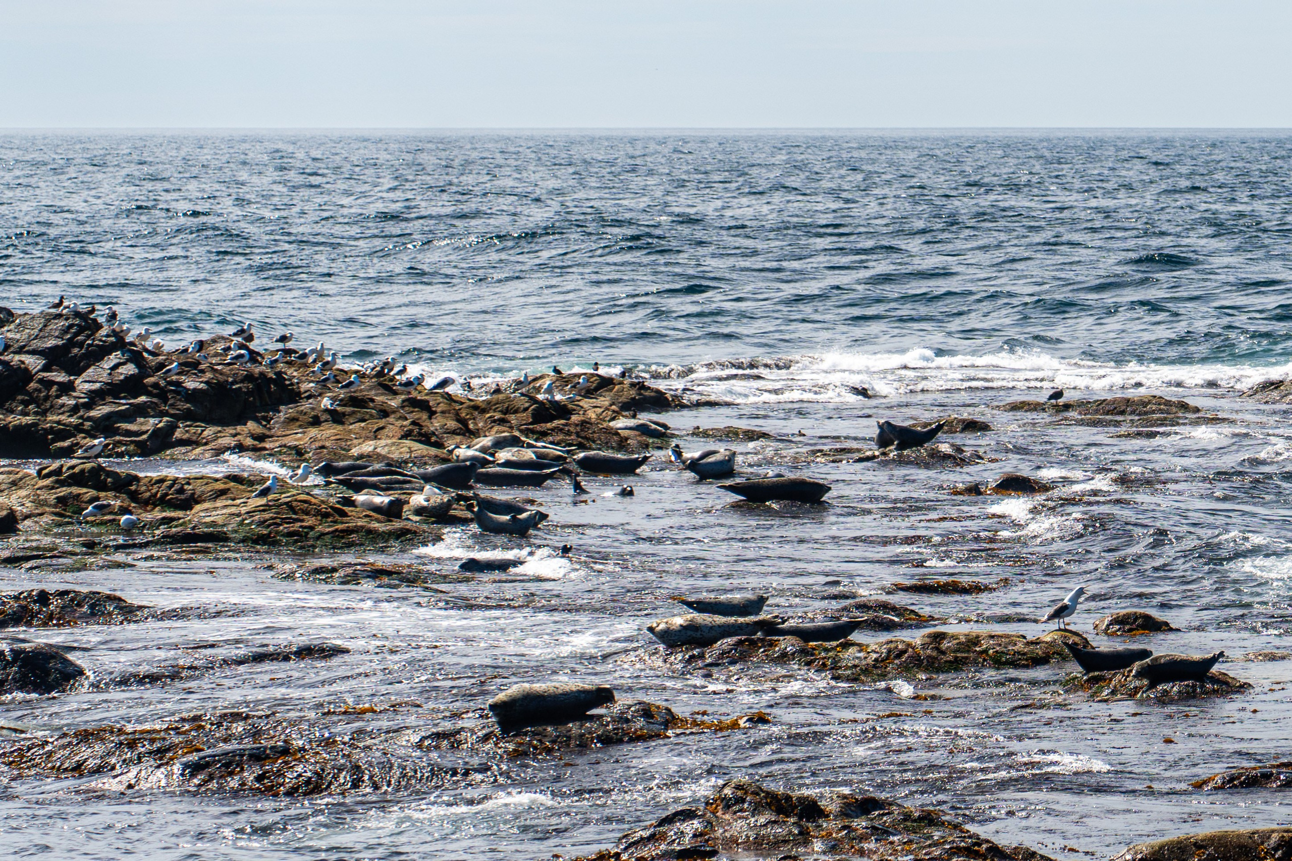 Сахалин 2025. Творческие сьемки