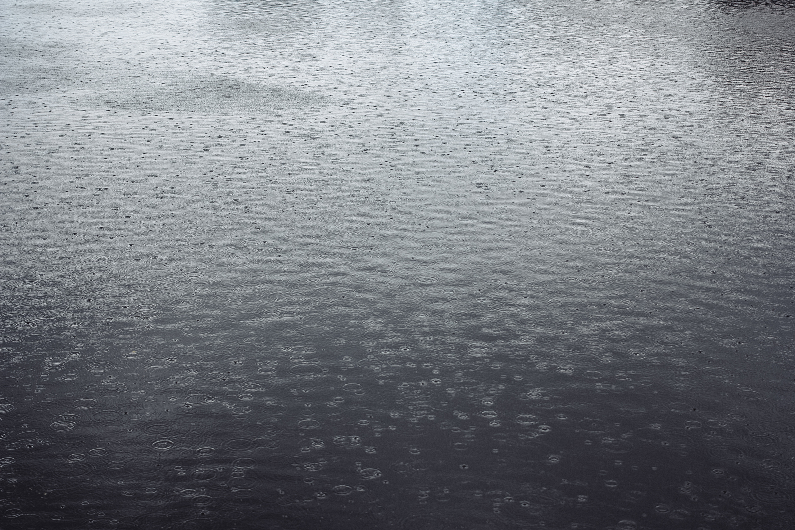 Марина и Миша. Фотограф Виктор Курий