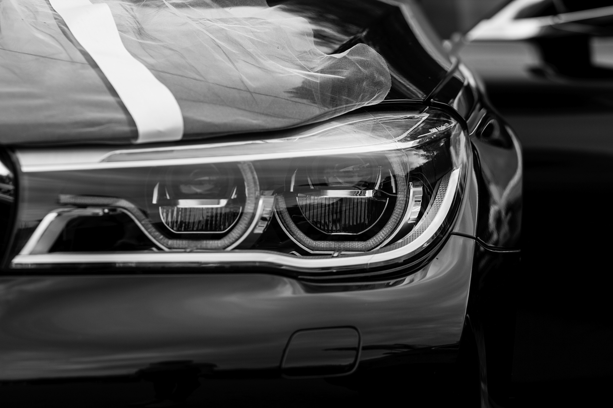 Аня и Саша. Фотограф Виктор Курий