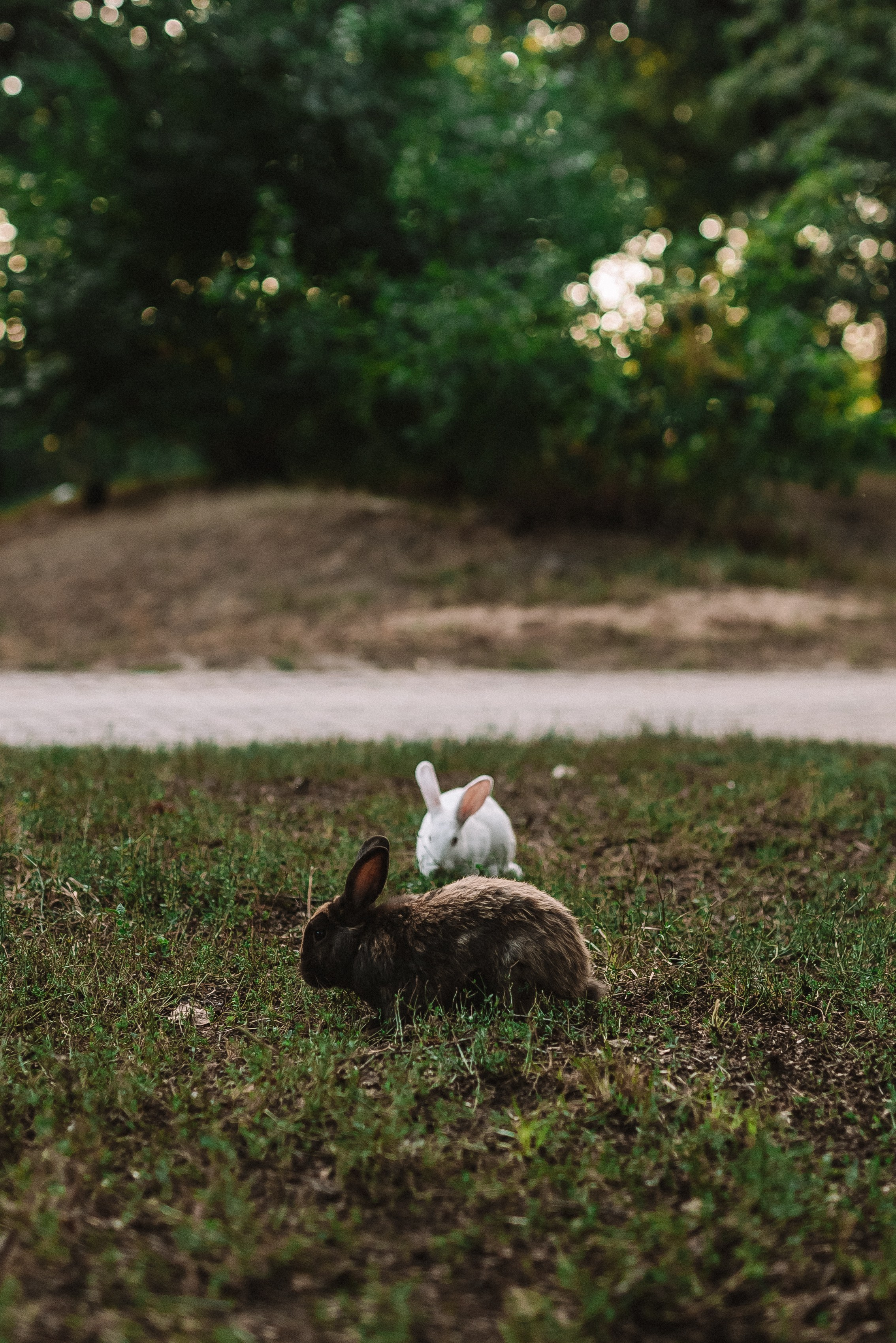 Кристина + Дмитрий. Свадебный и семейный фотограф в Волгограде Олеся Лисицкая