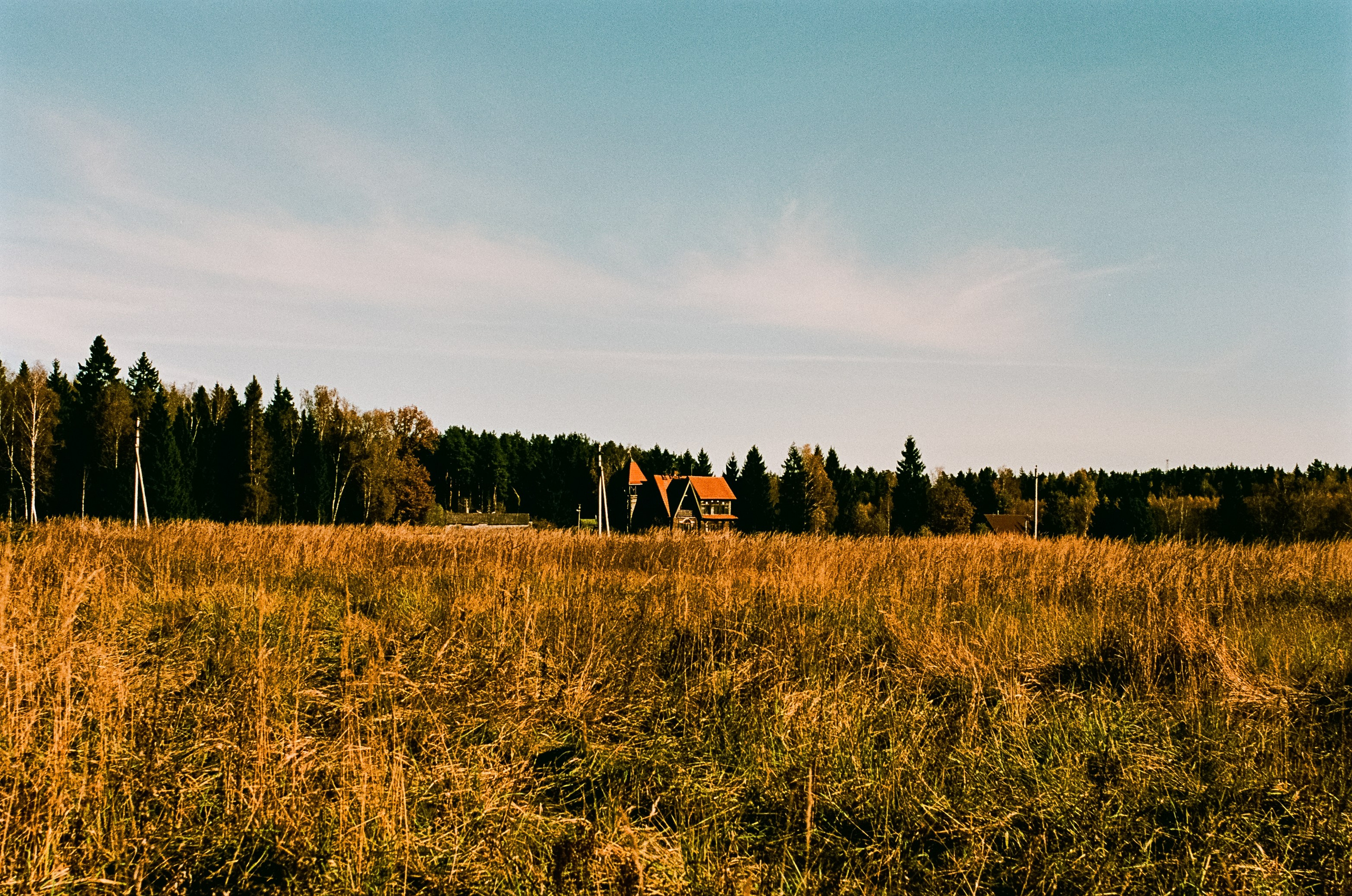 Nikon F100 — Mamiya (645) Sekor C 45 mm f2.8 и Macro 80 mm f/4
