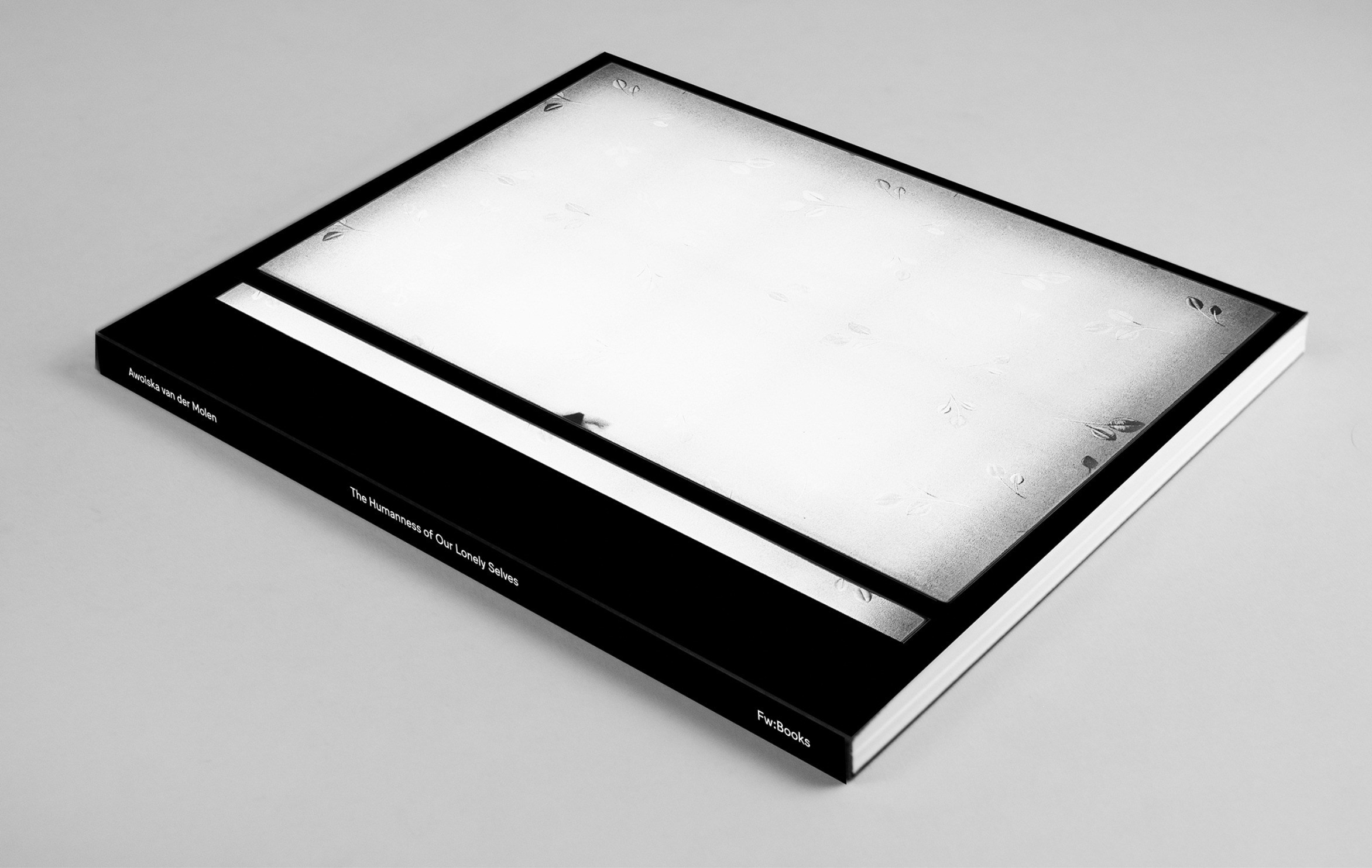 Как форма книги может влиять на концепт?. Самоорганизация Низина