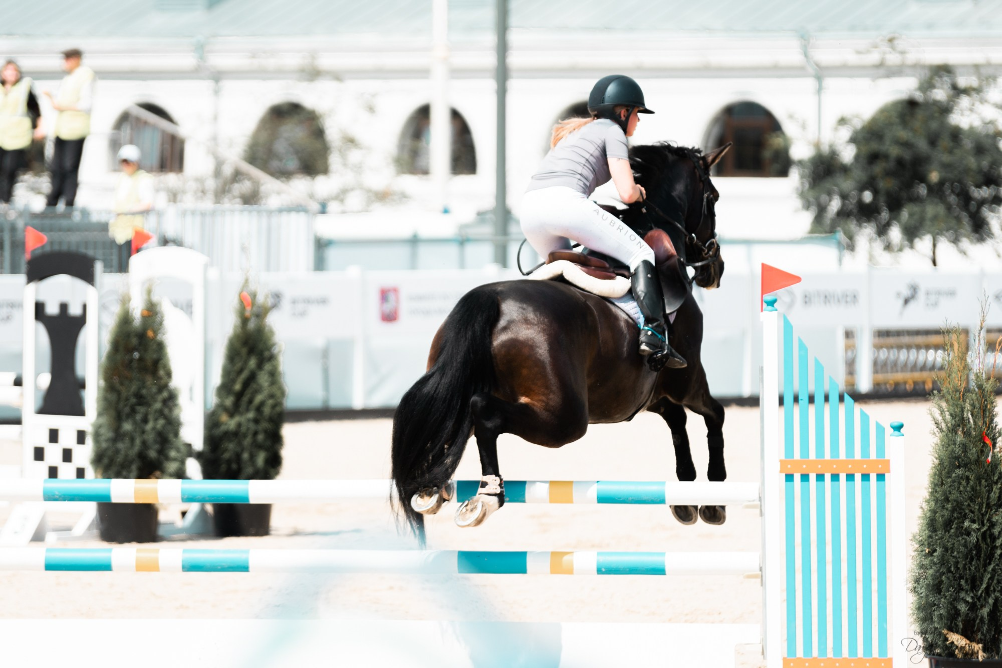 BITRIVER CUP 2023. Конный фотограф Куракина Дарья • Фотосессии с лошадьми