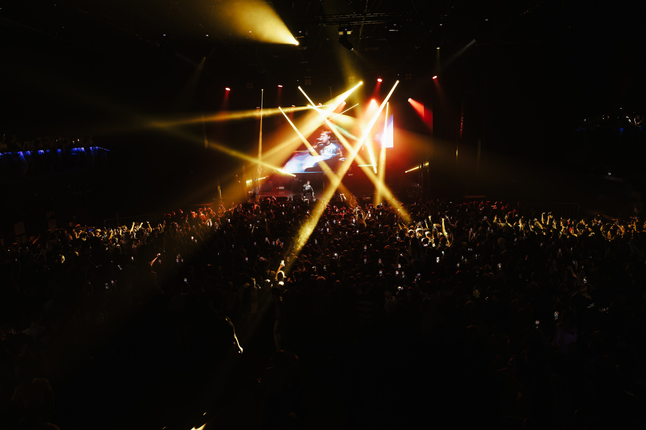 TOXIS | 8.03.2024. DARIA BLEDNOVA / photographer Moscow