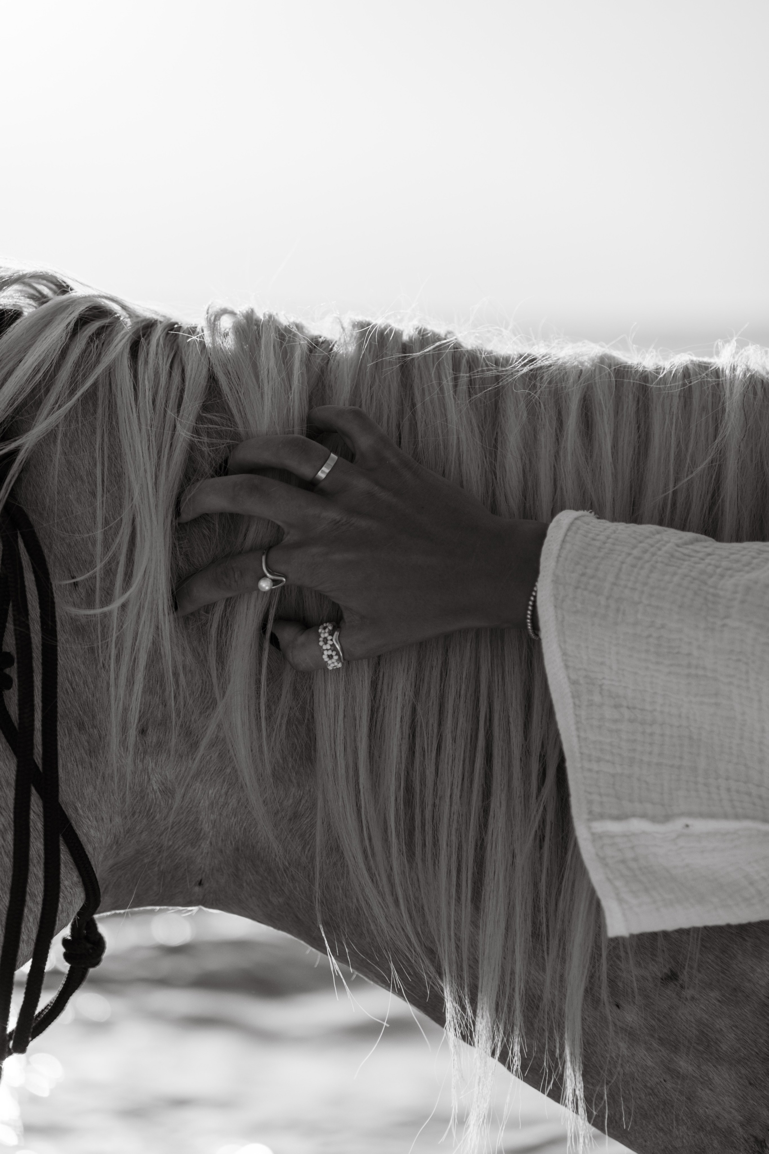 Anna. Фотограф и Видеограф Севастополь Крым