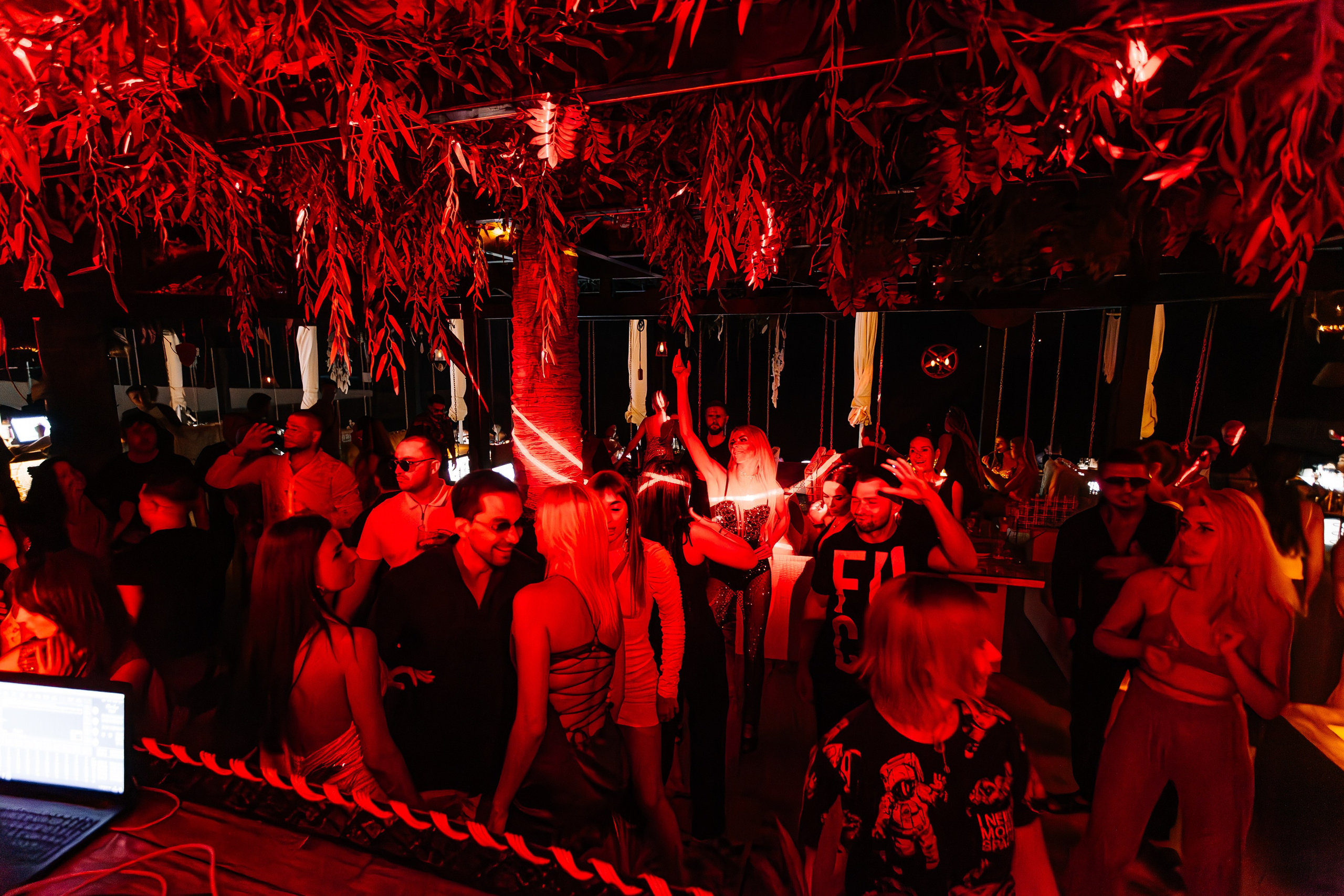 Чайка_на_пляже_Андро_Ялта_24.08.2024. Аминов Руслан | Фотограф