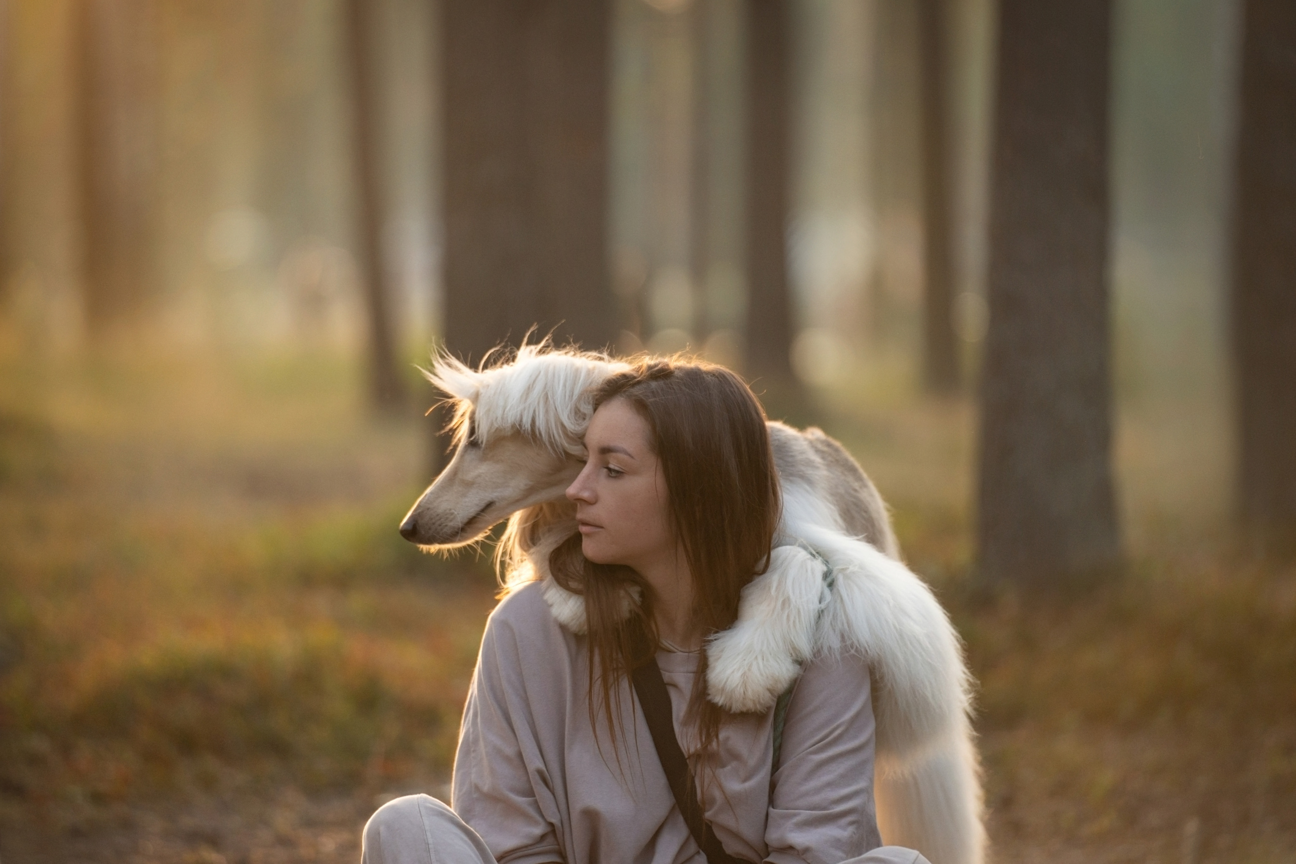 Путь к лесу. Фотограф анималист