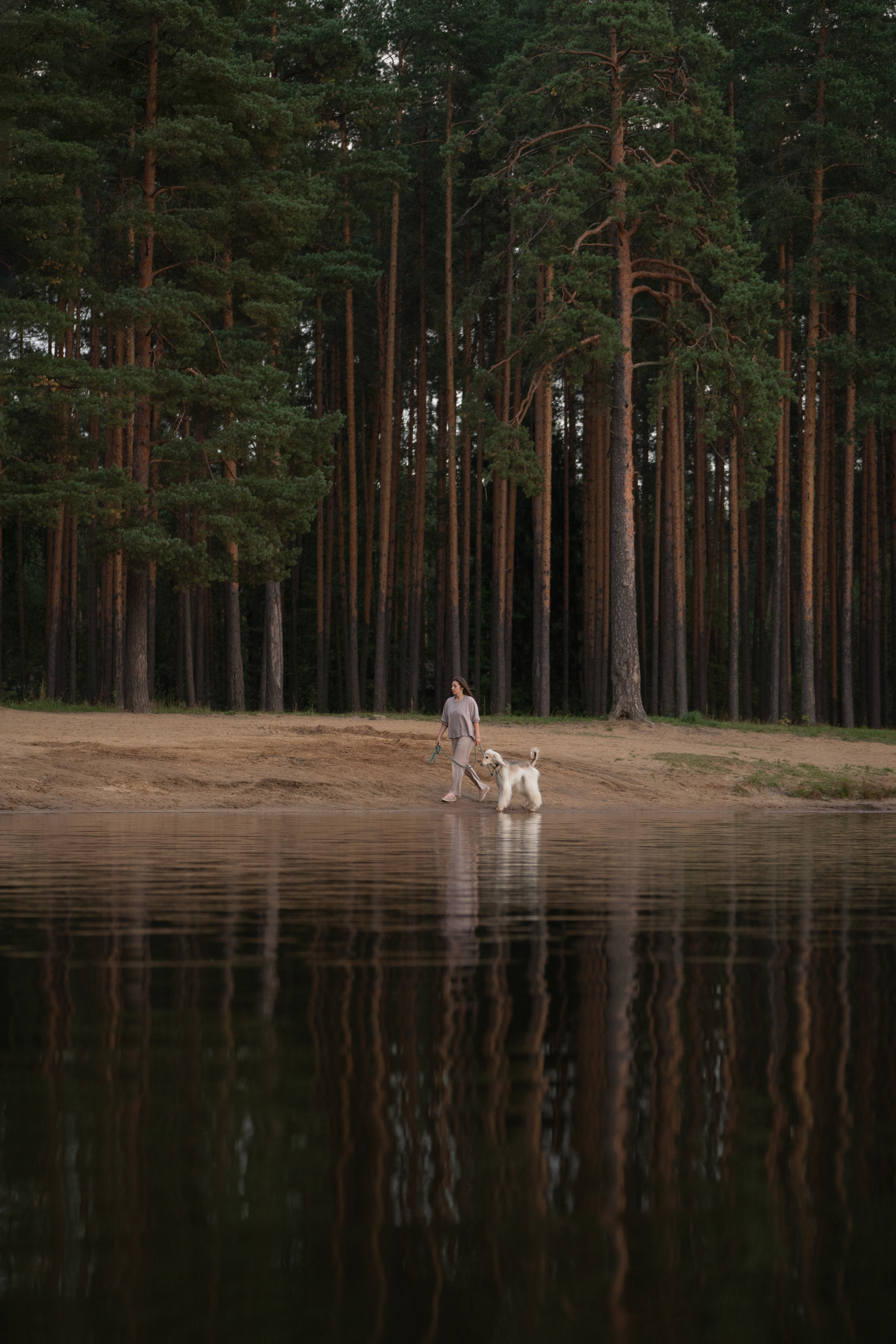 Фотограф анималист