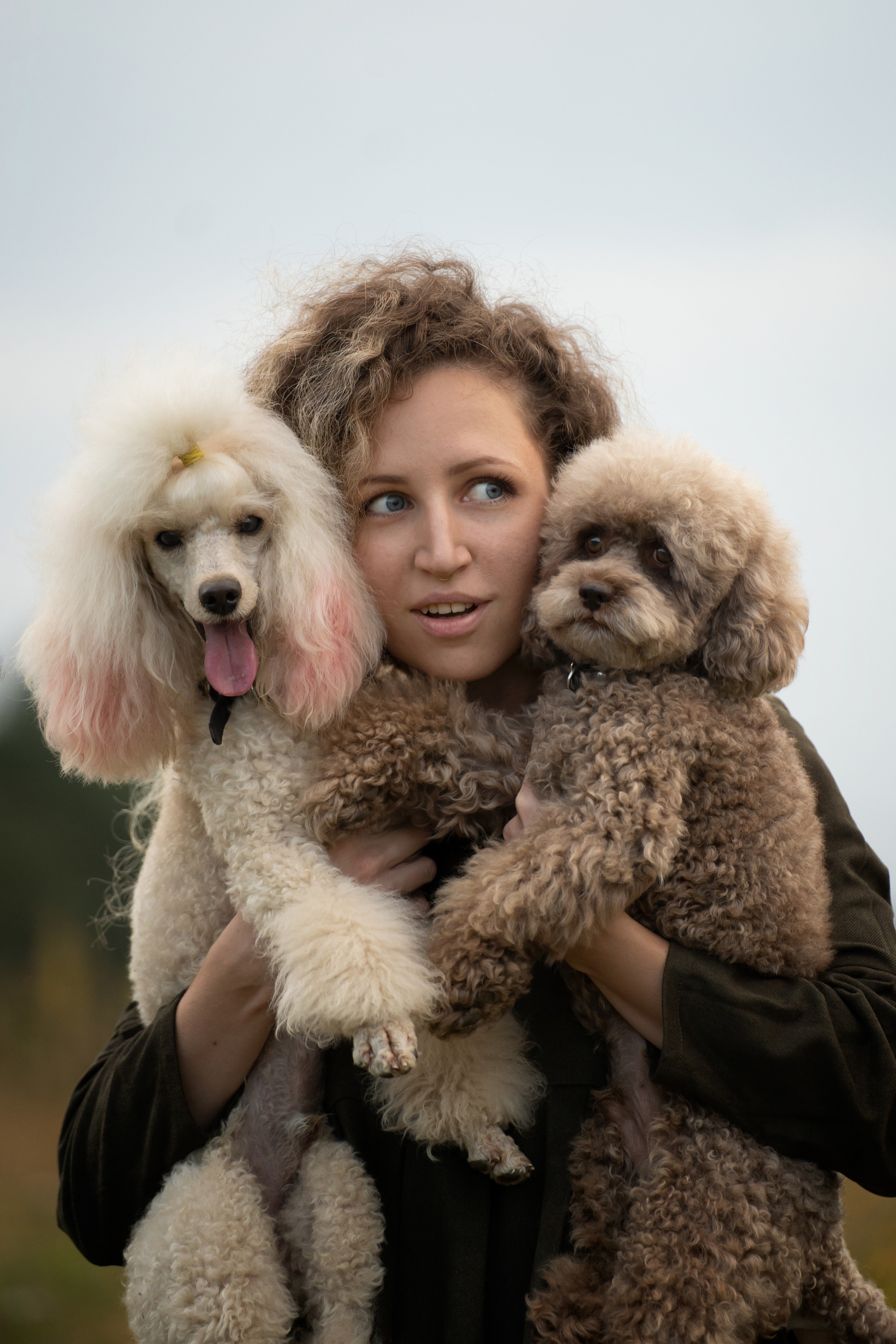 Кудрявая семья. Фотограф анималист