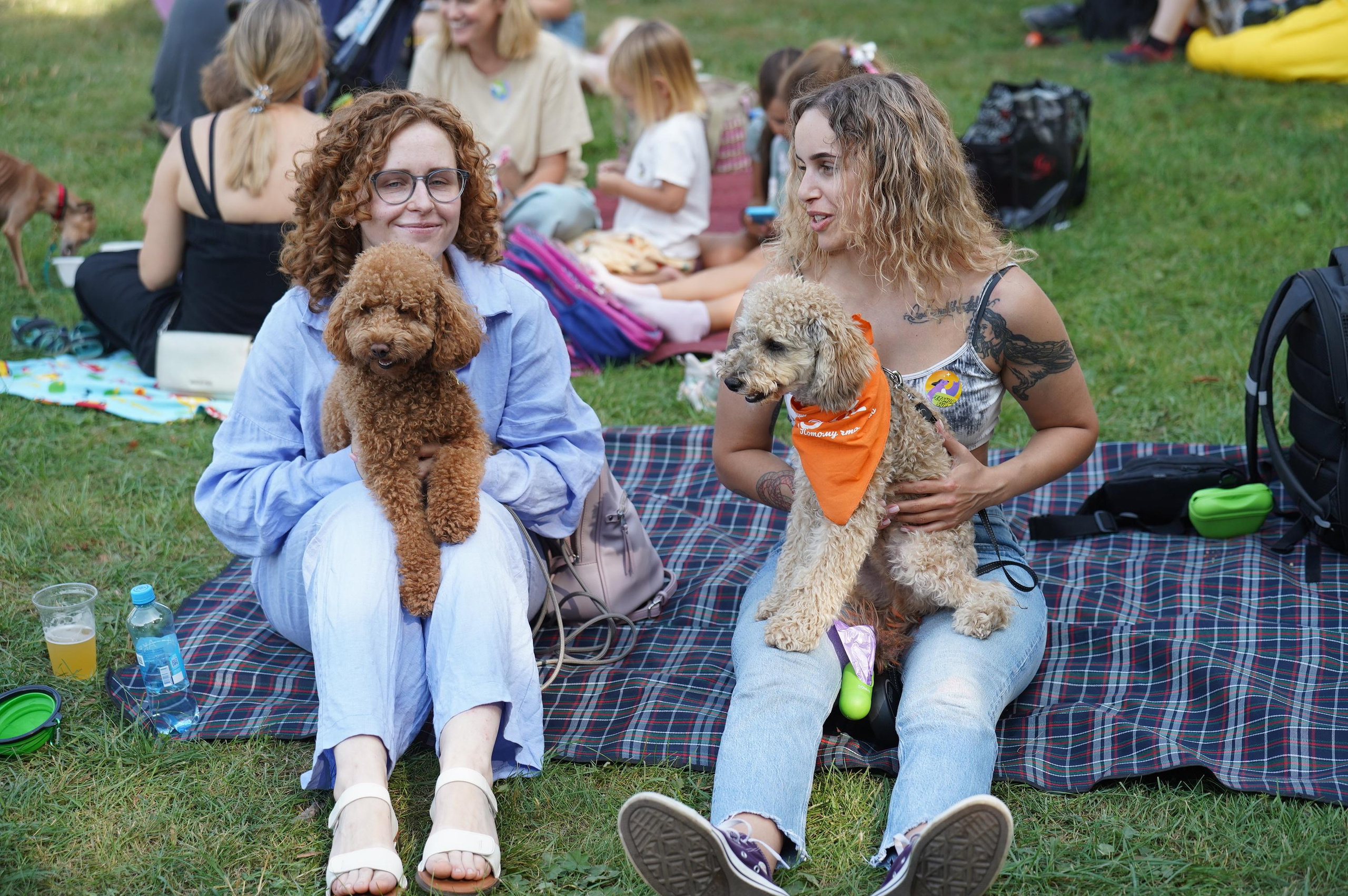 Петшопдей. Фотограф анималист