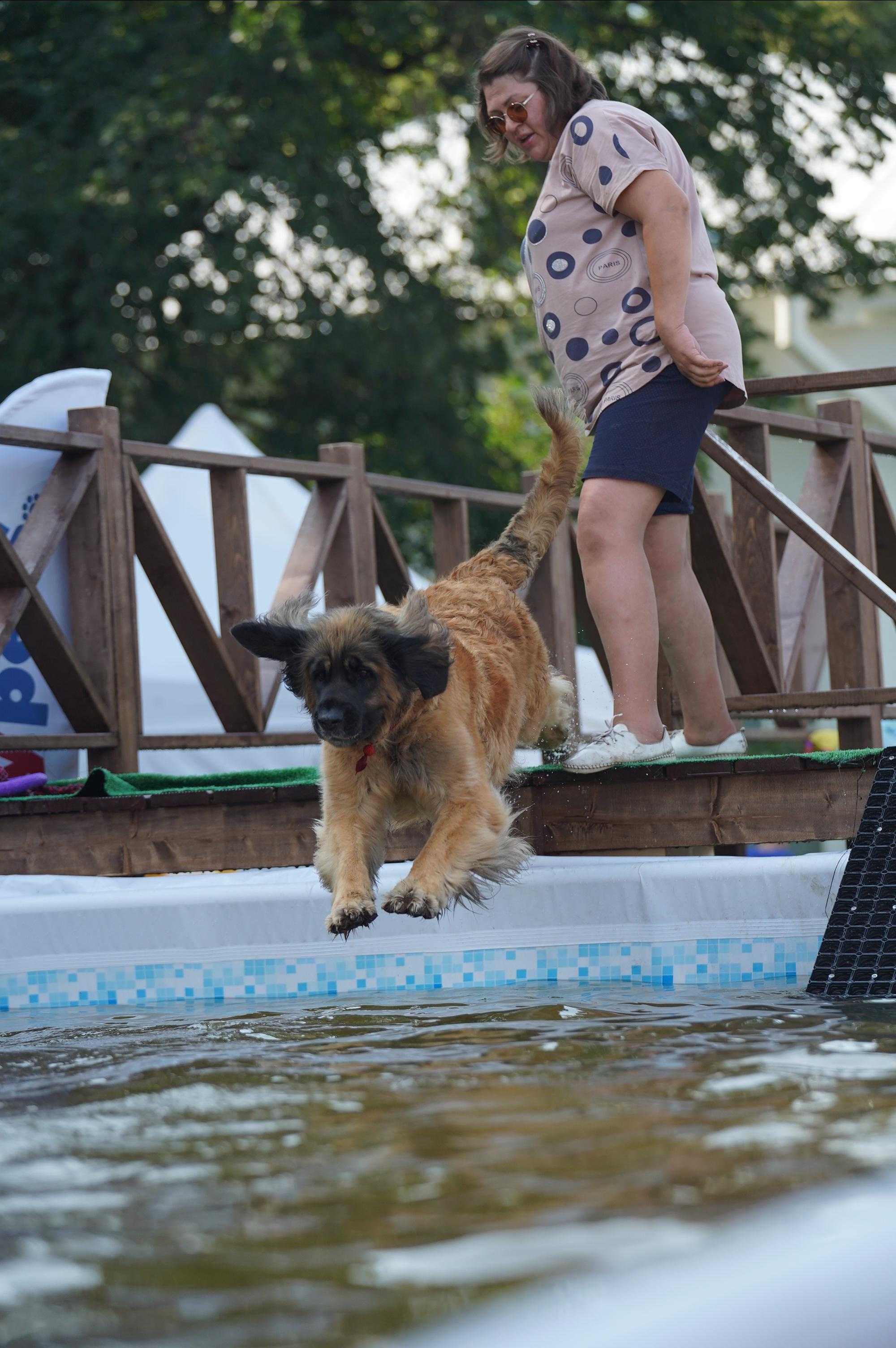 Петшопдей. Фотограф анималист