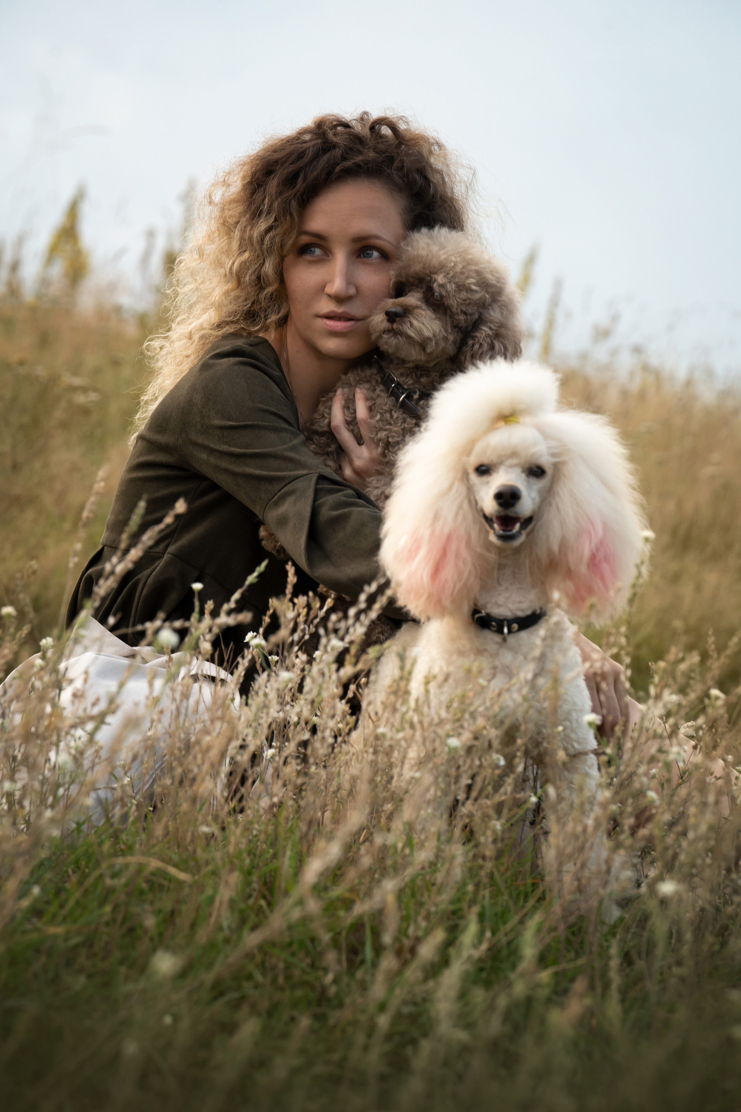 Кудрявая семья. Фотограф анималист