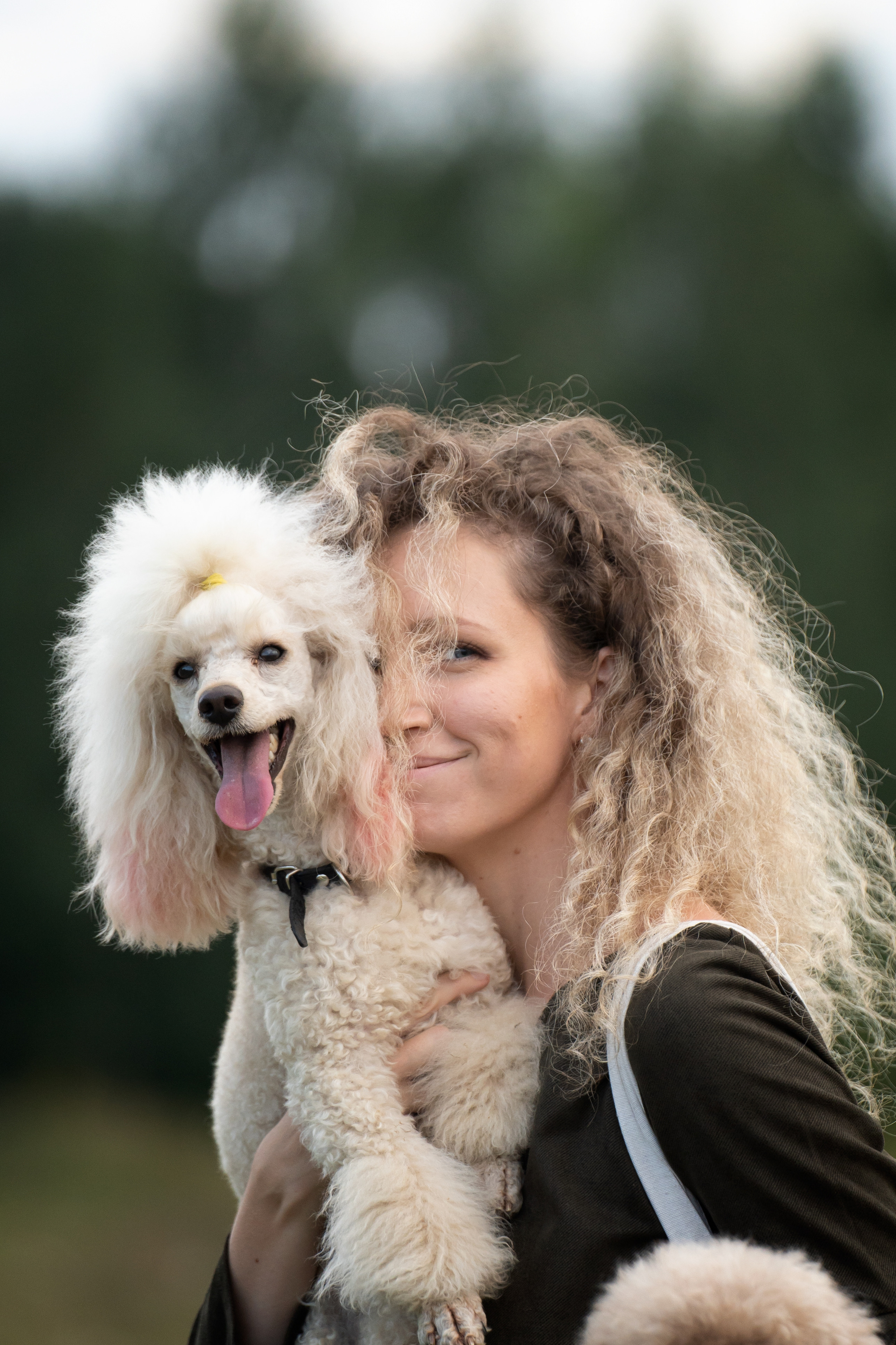 Кудрявая семья. Фотограф анималист