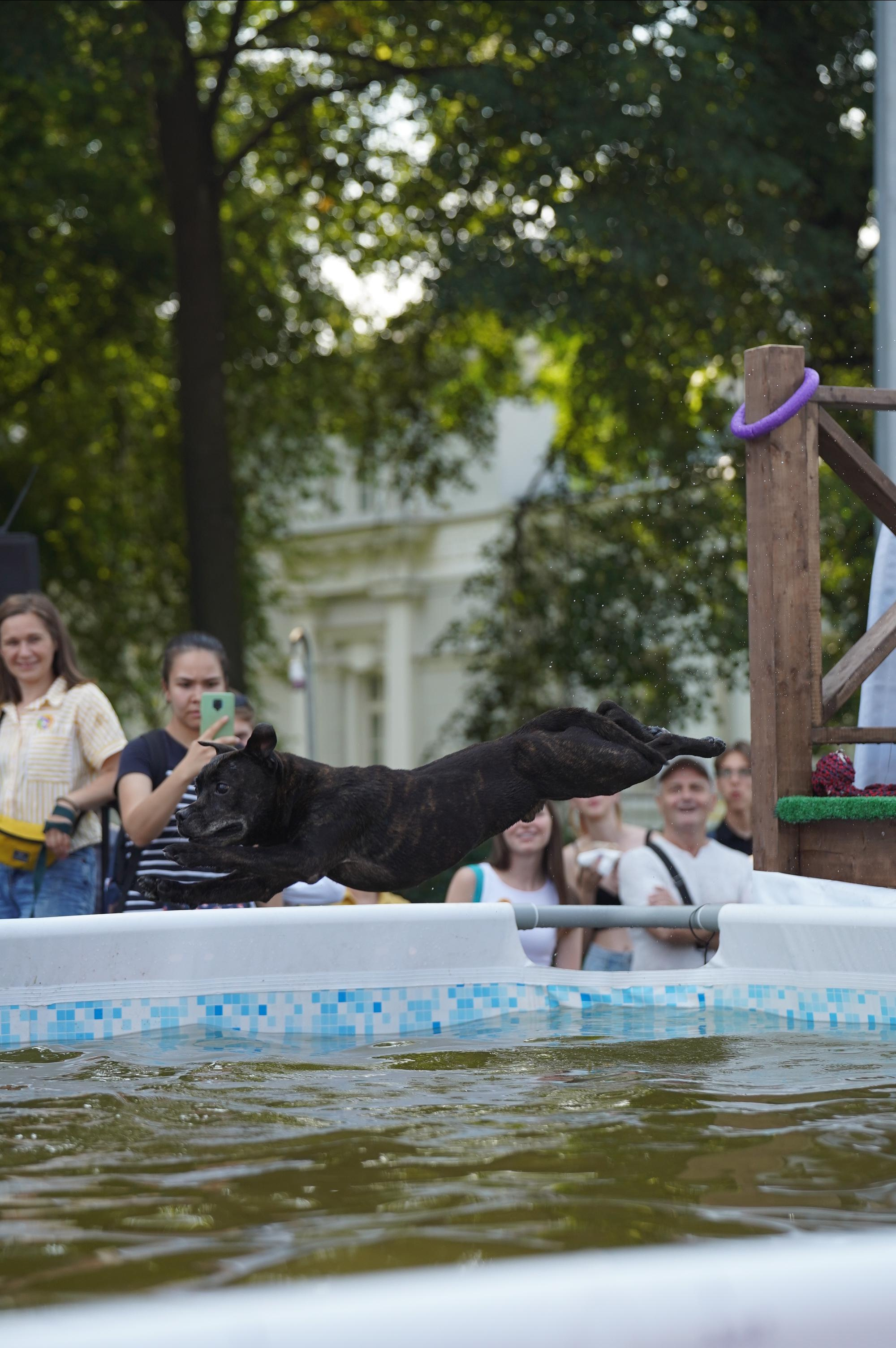 Петшопдей. Фотограф анималист