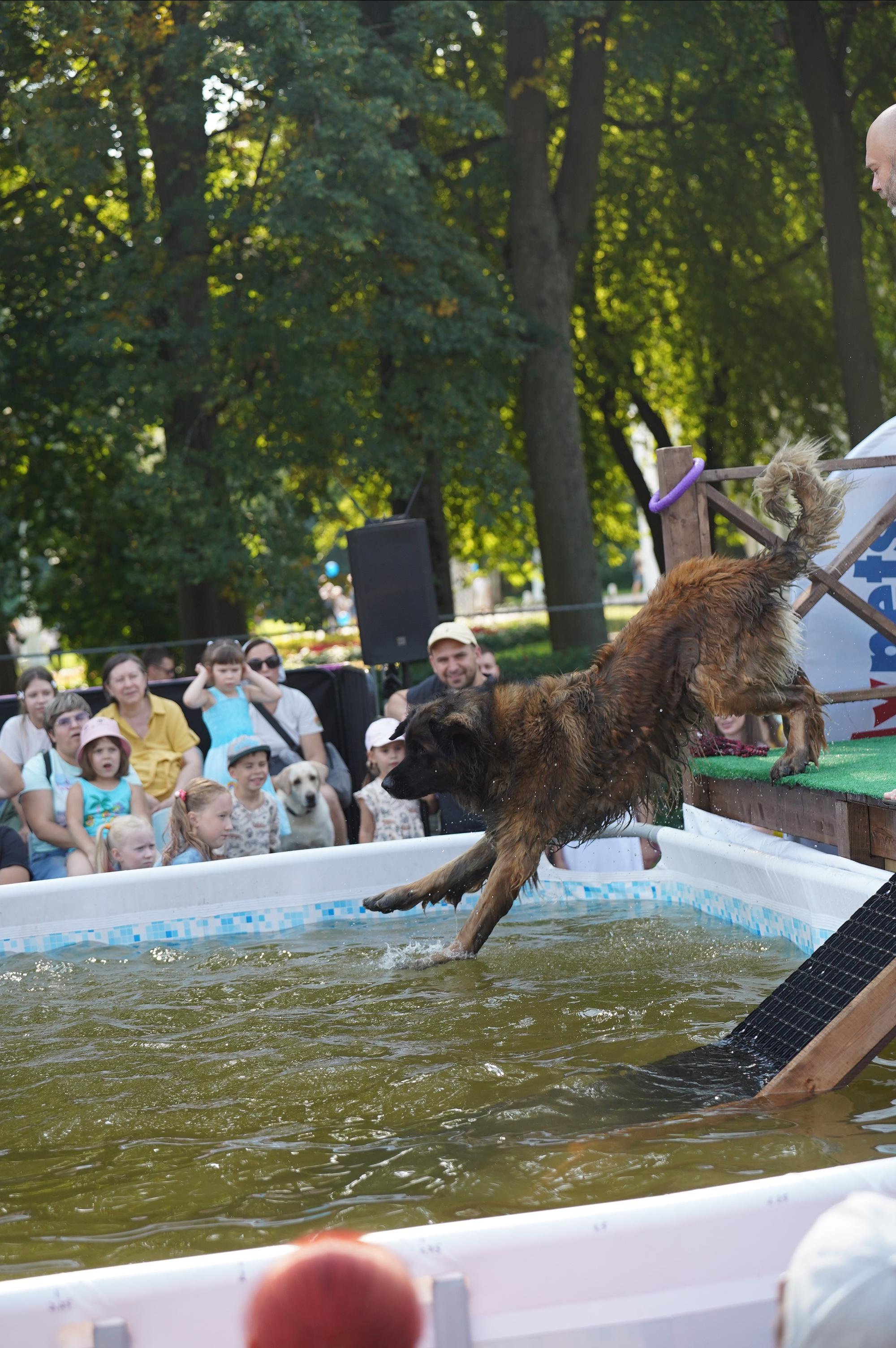 Петшопдей. Фотограф анималист
