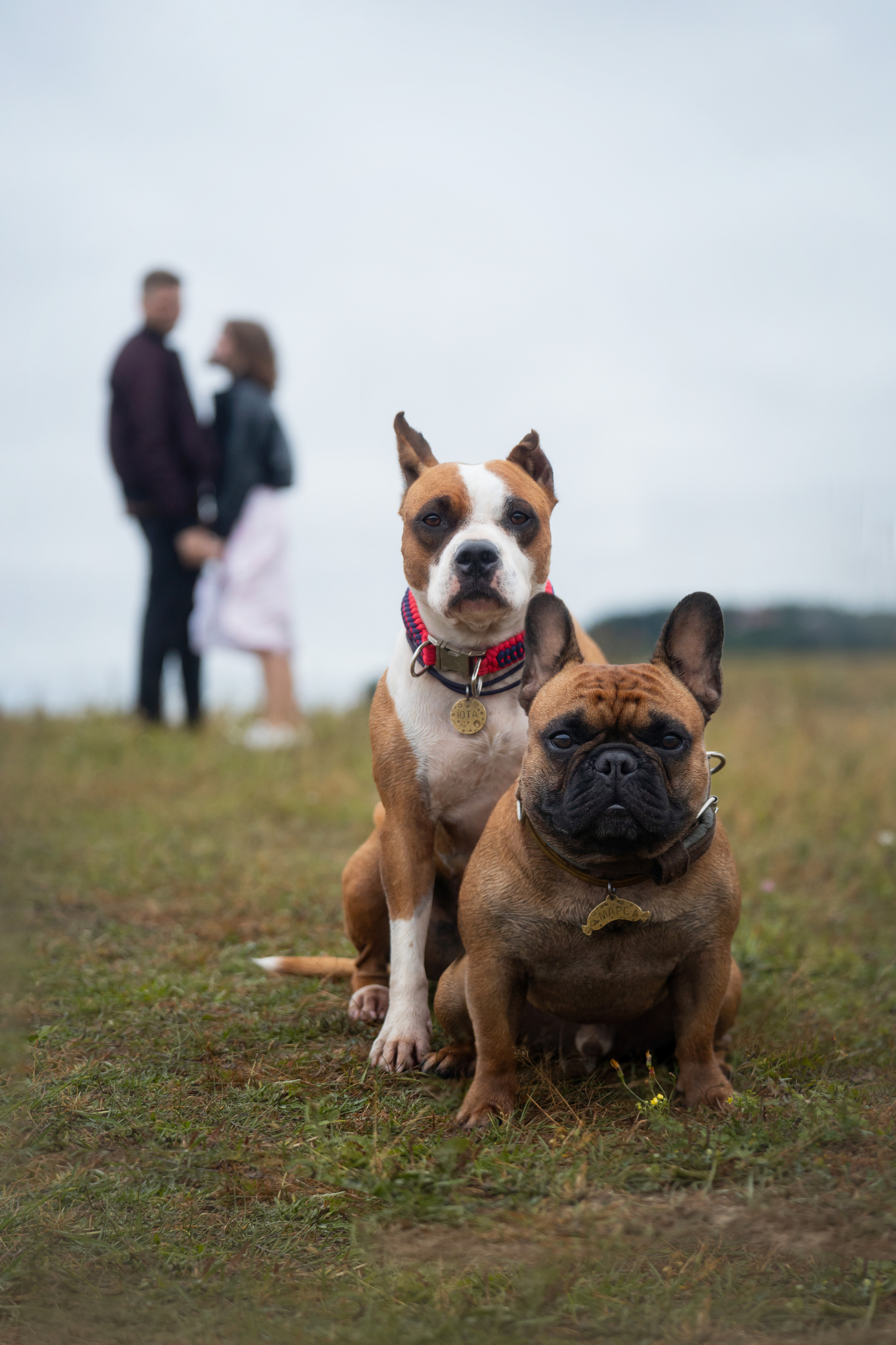 Катя, Антон, Марс и Юта. Фотограф анималист