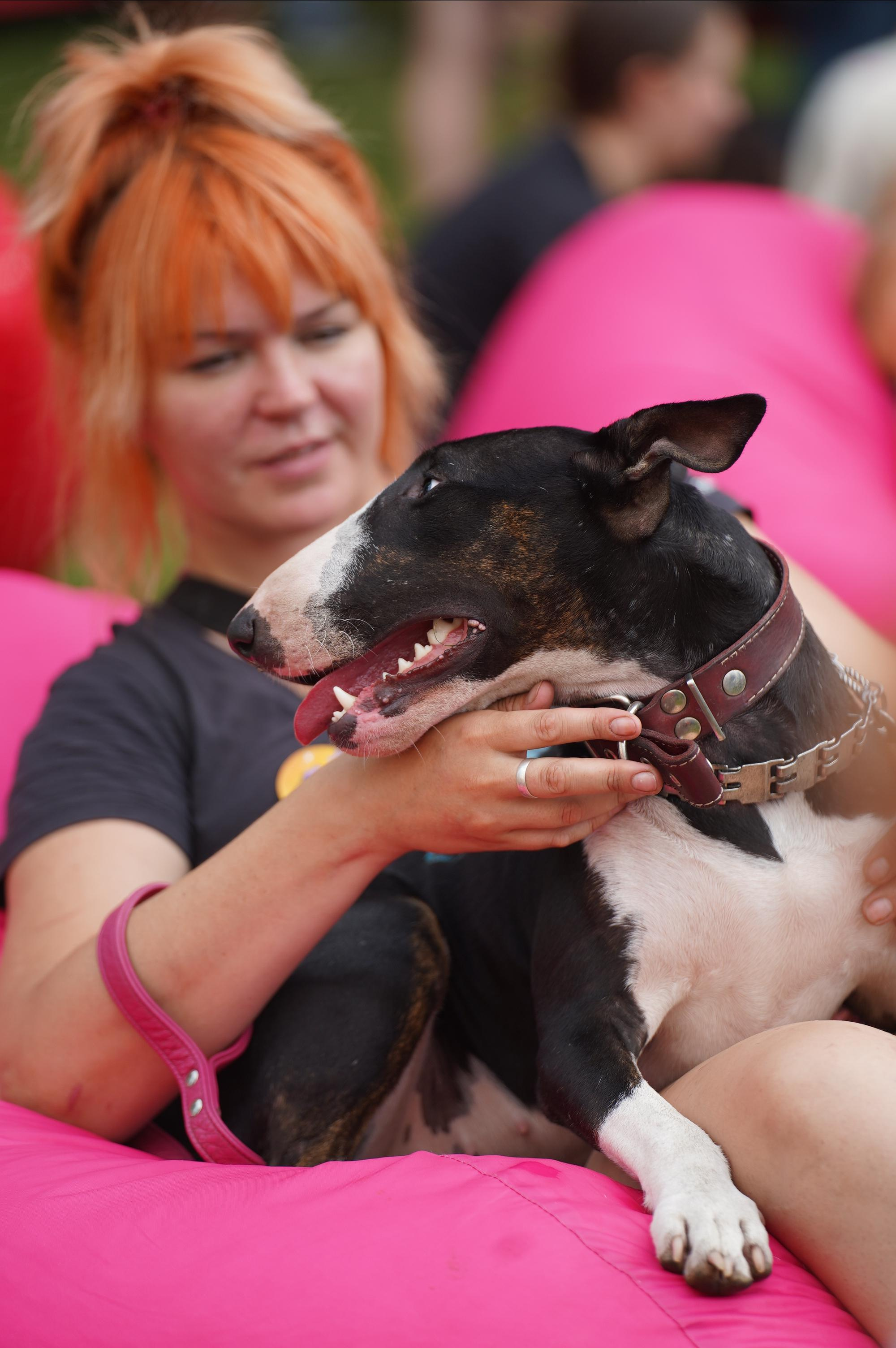 Петшопдей. Фотограф анималист