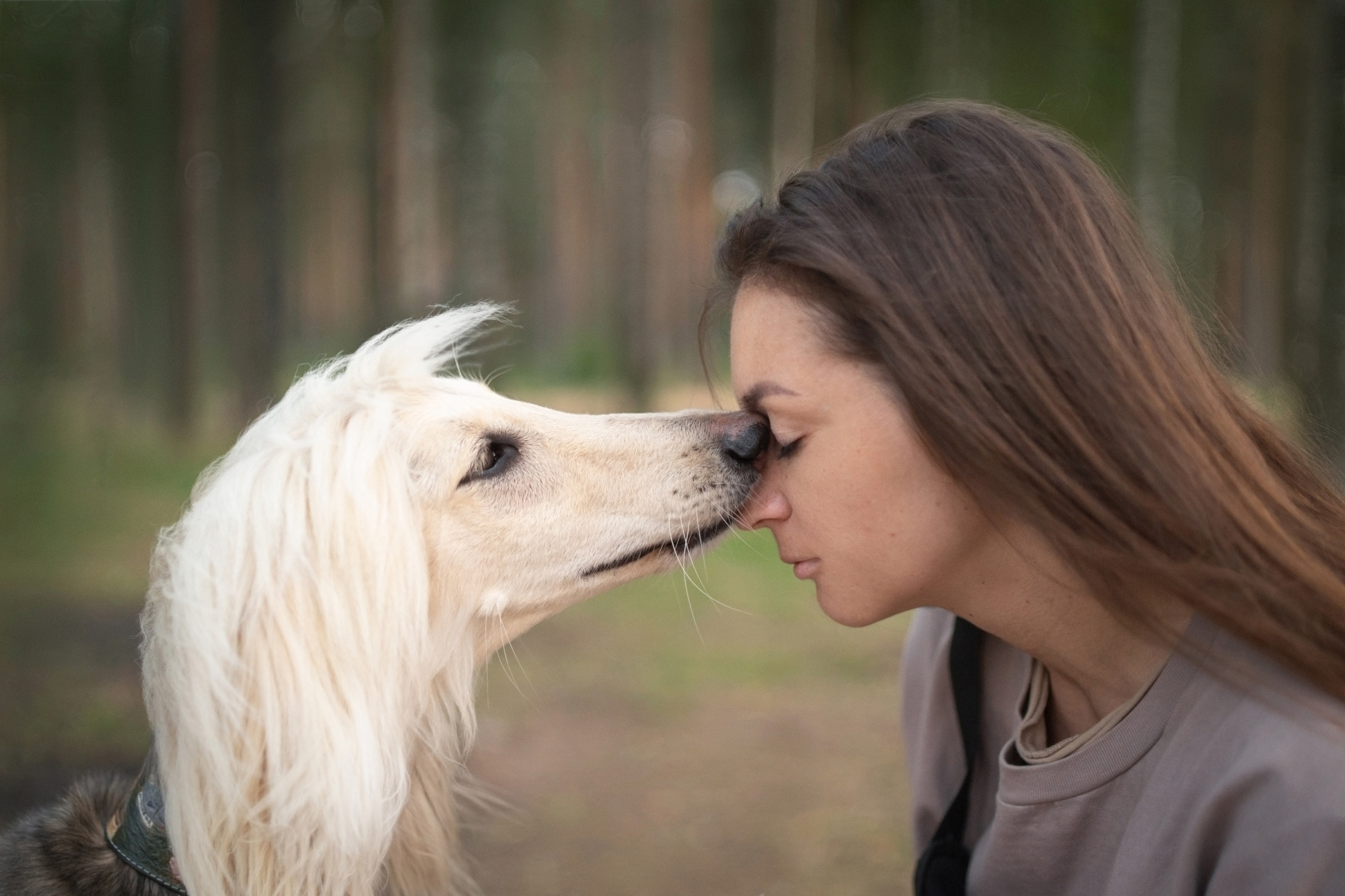 Путь к лесу. Фотограф анималист