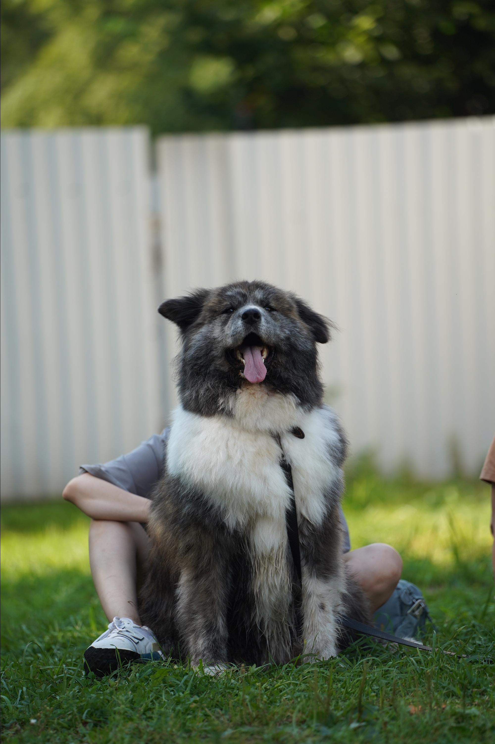 Петшопдей. Фотограф анималист