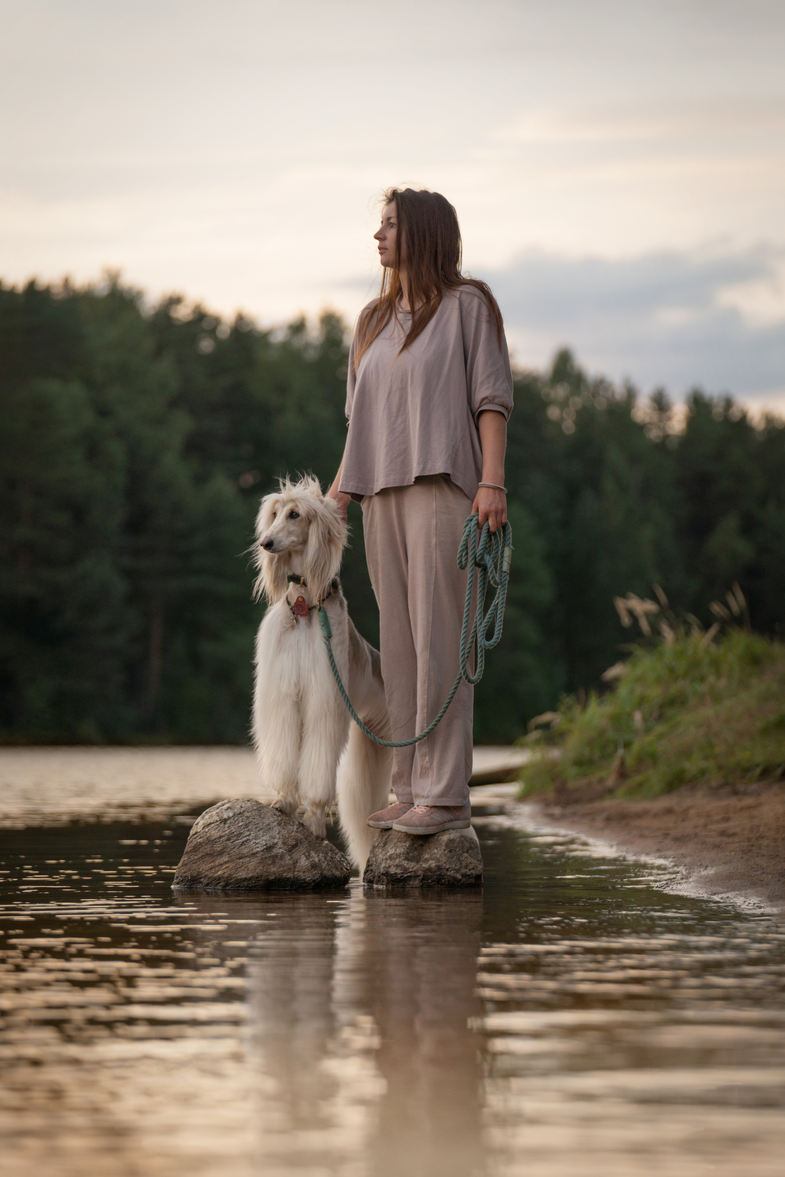 Путь к лесу. Фотограф анималист