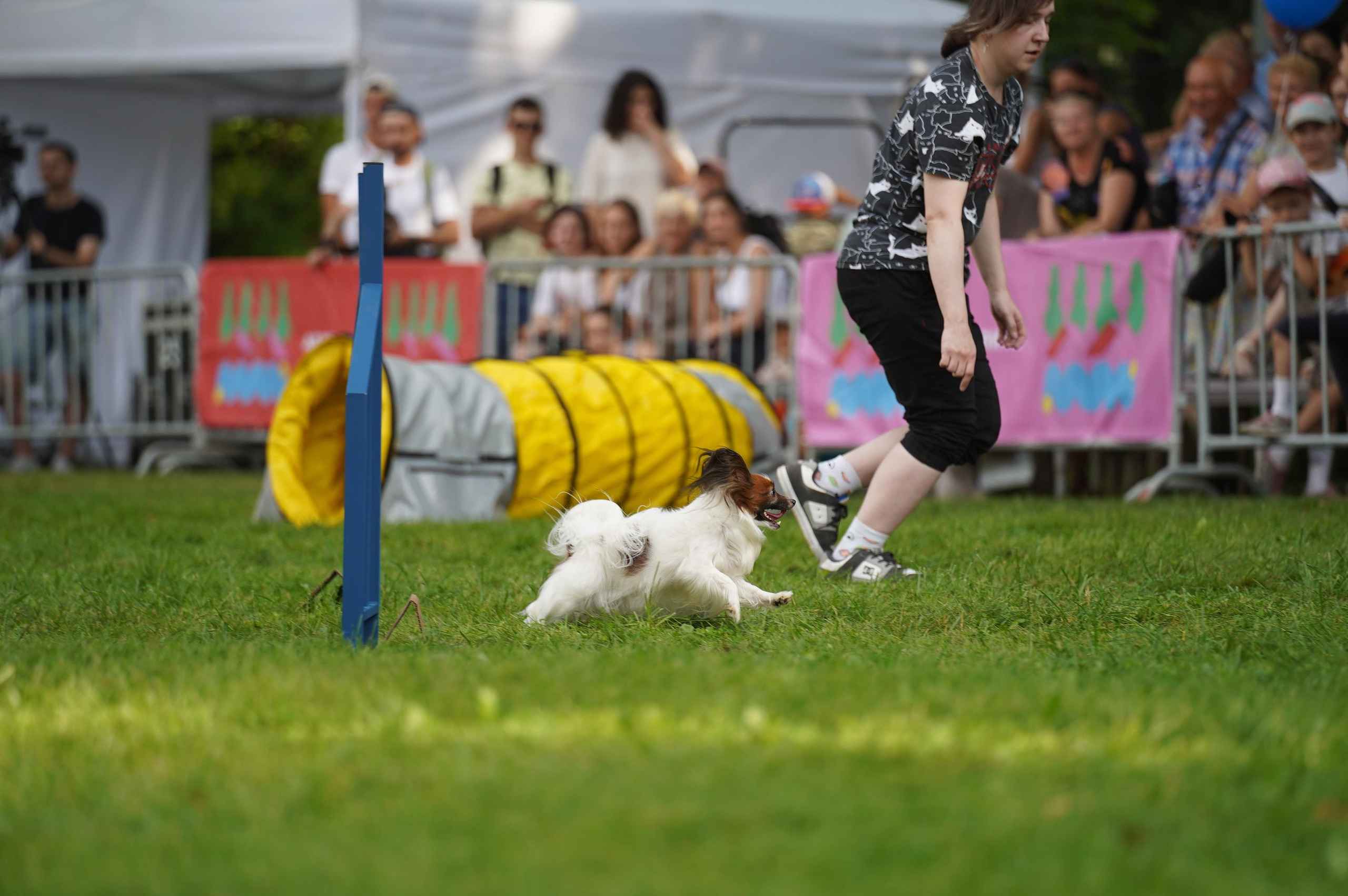 Петшопдей. Фотограф анималист