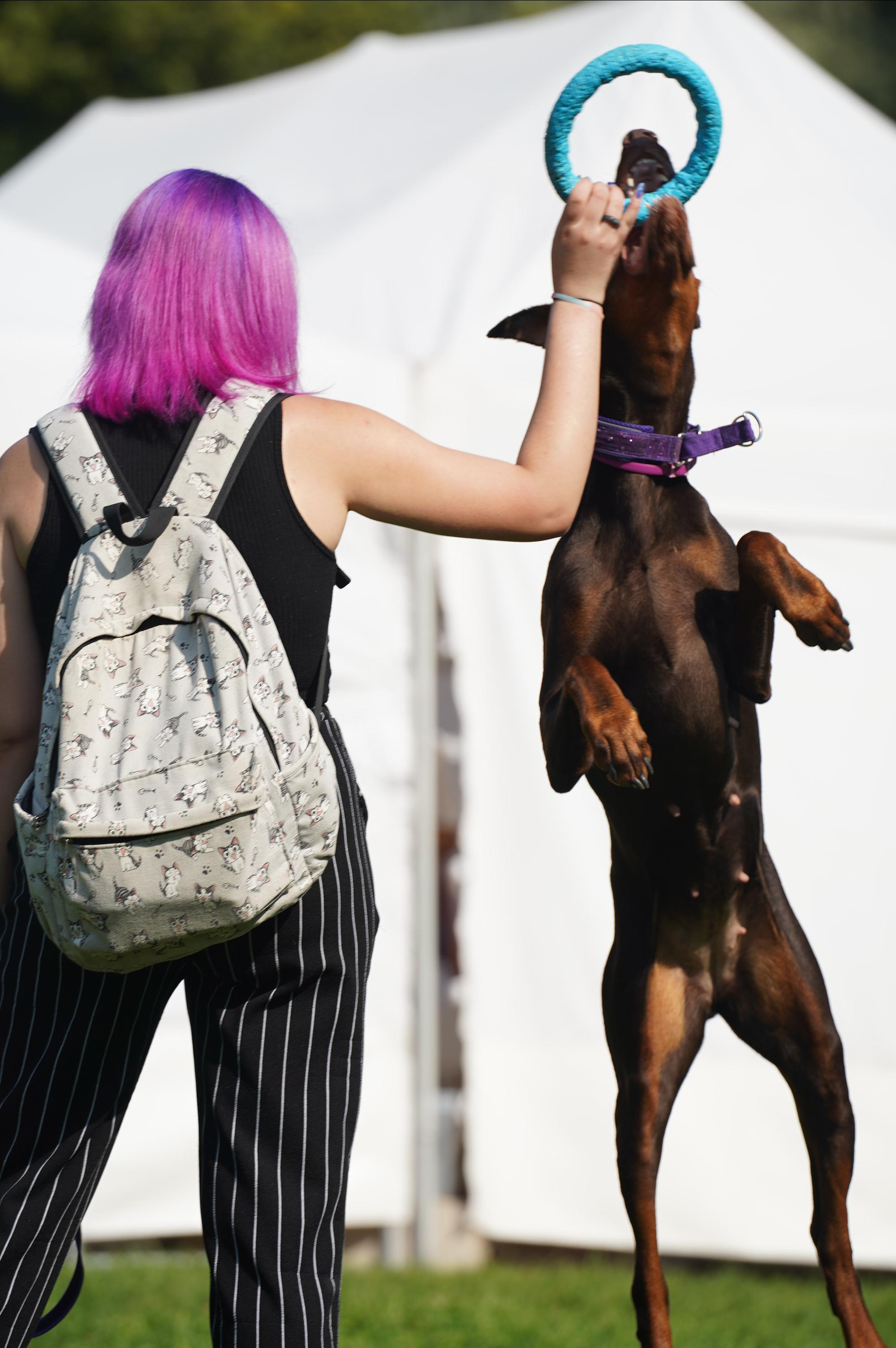 Петшопдей. Фотограф анималист