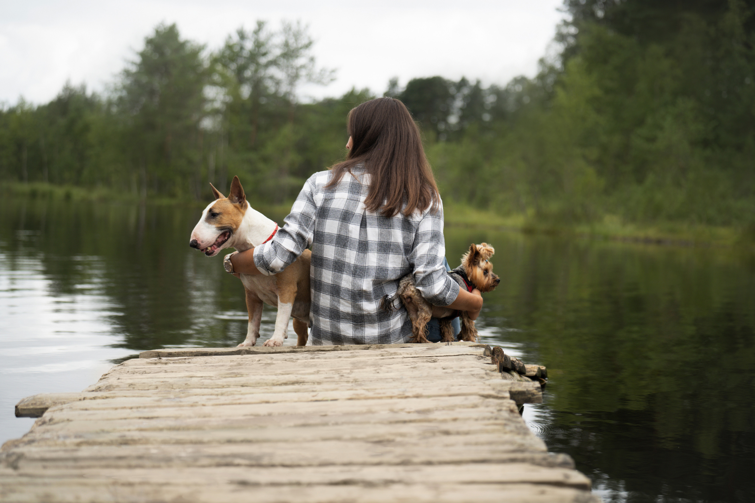 Яна и Юни. Фотограф анималист