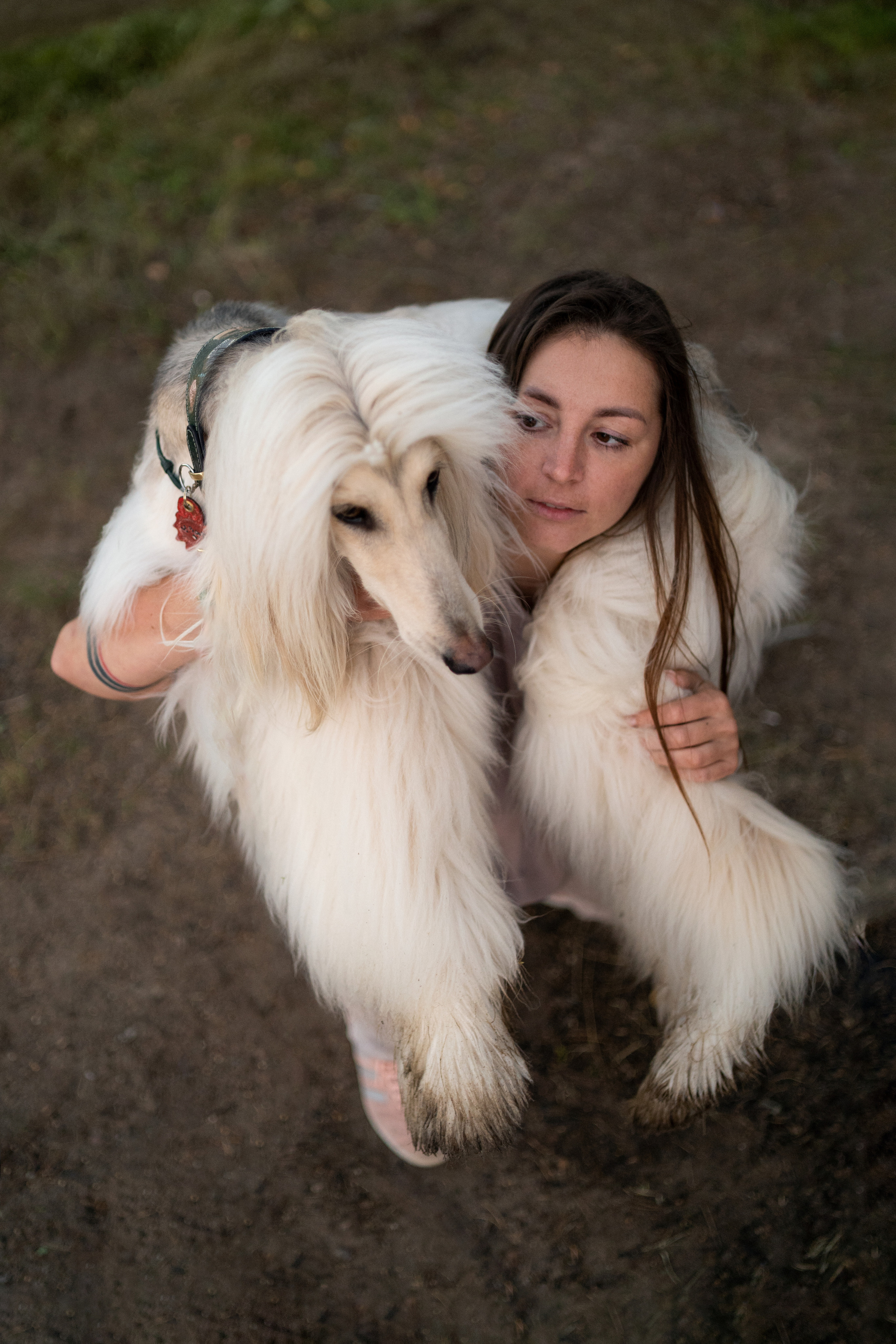 Путь к лесу. Фотограф анималист