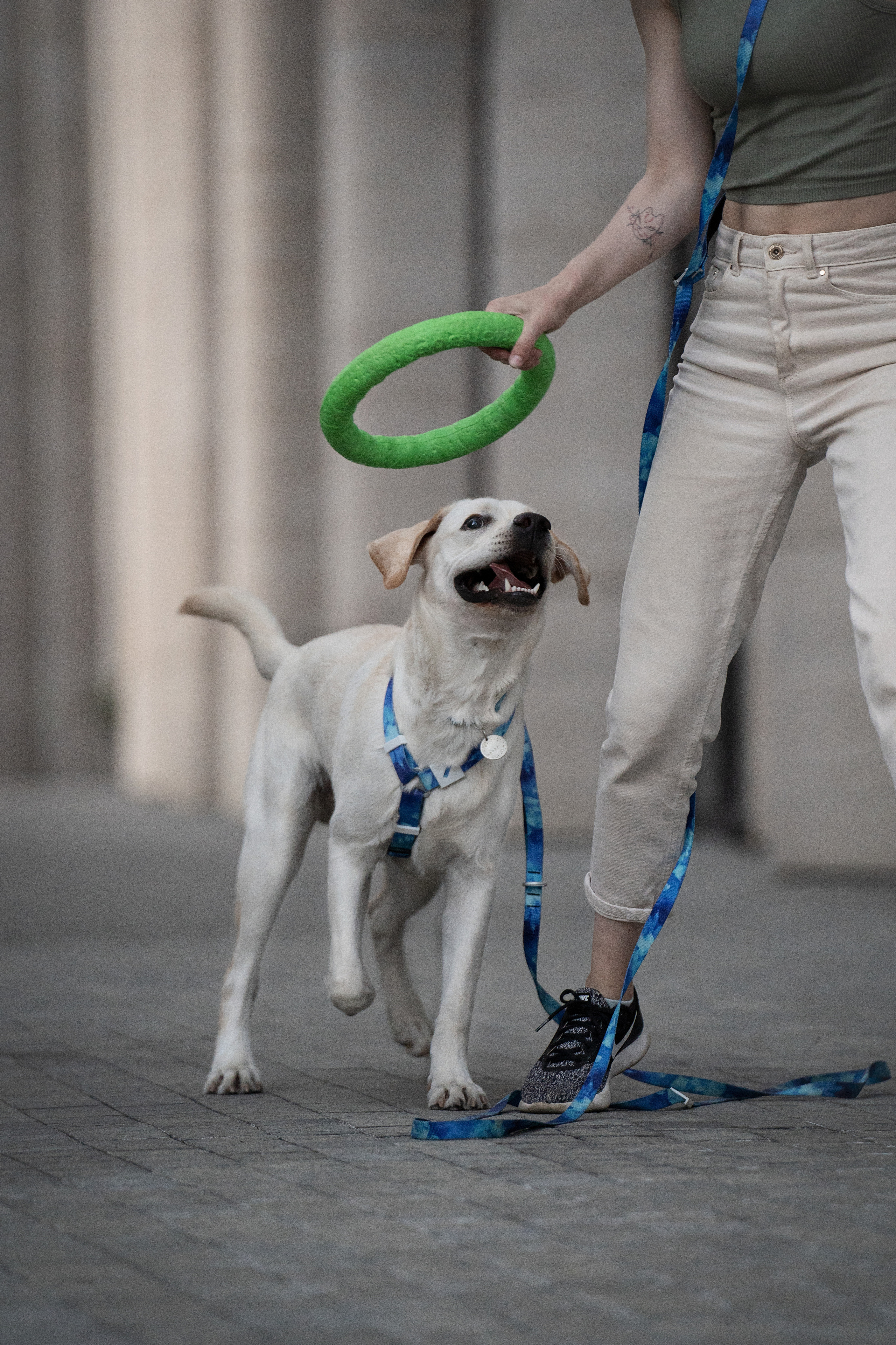 Наташа и Чарли. Фотограф анималист