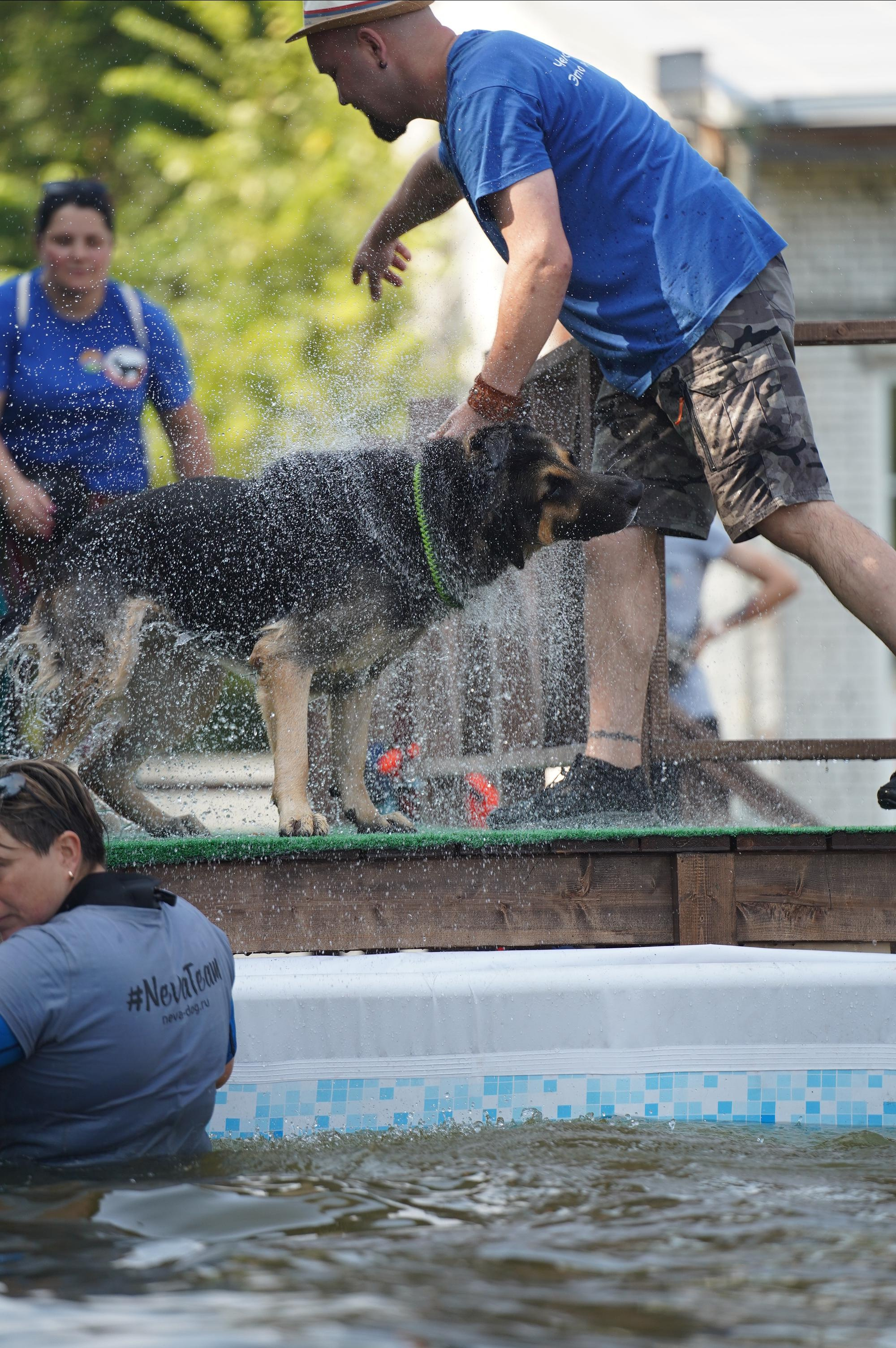 Петшопдей. Фотограф анималист