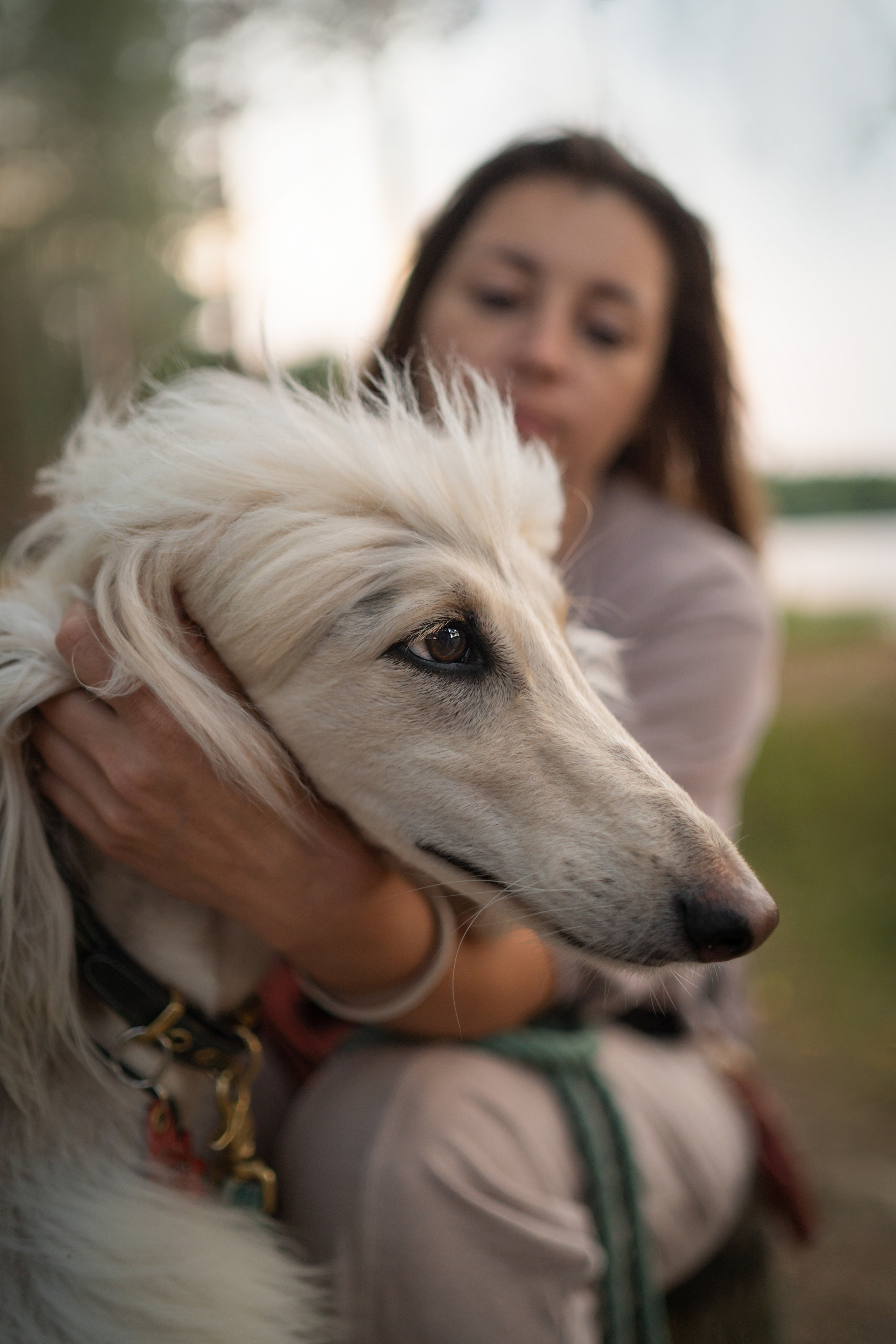 Путь к лесу. Фотограф анималист