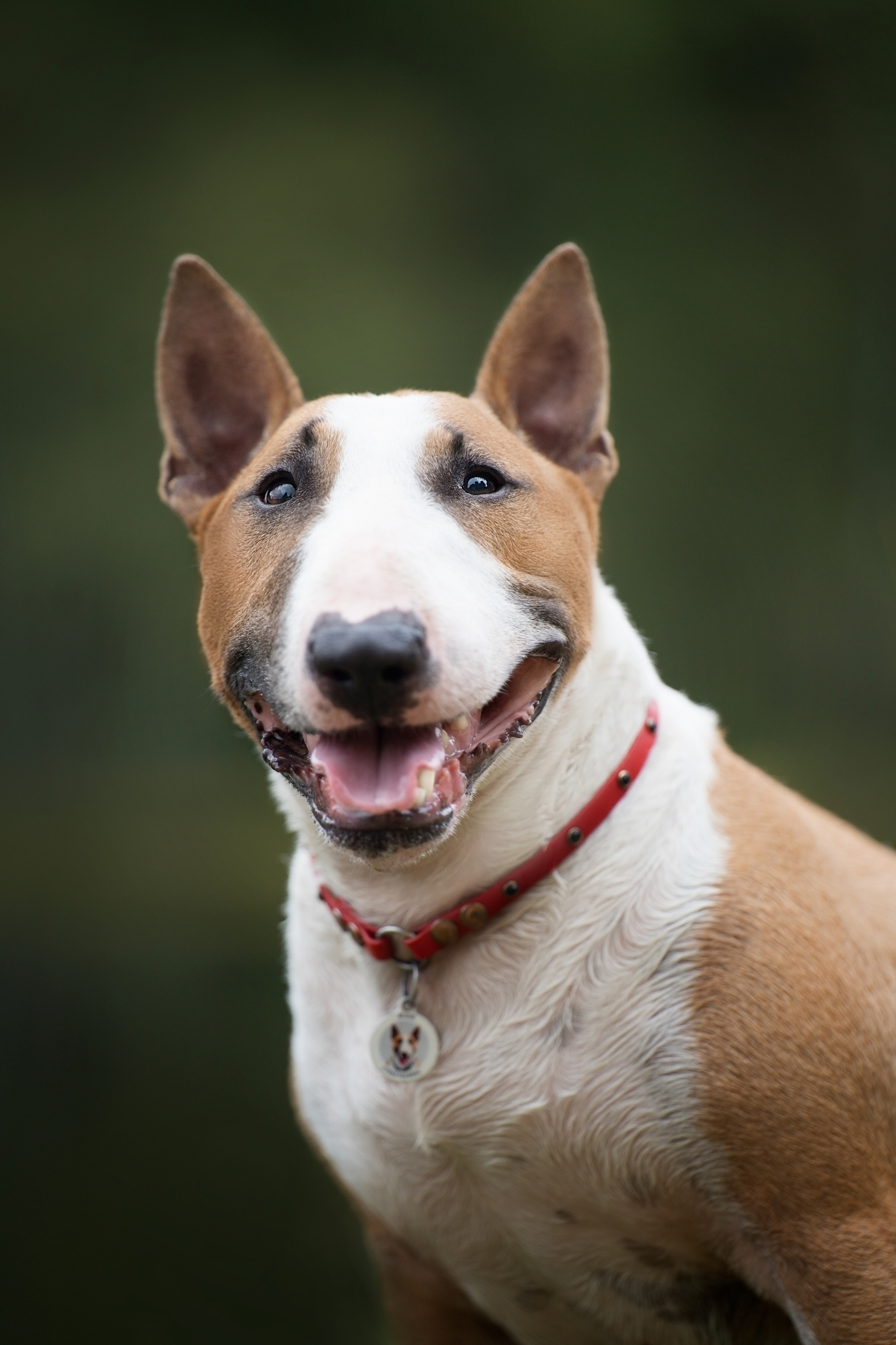 Яна и Юни. Фотограф анималист